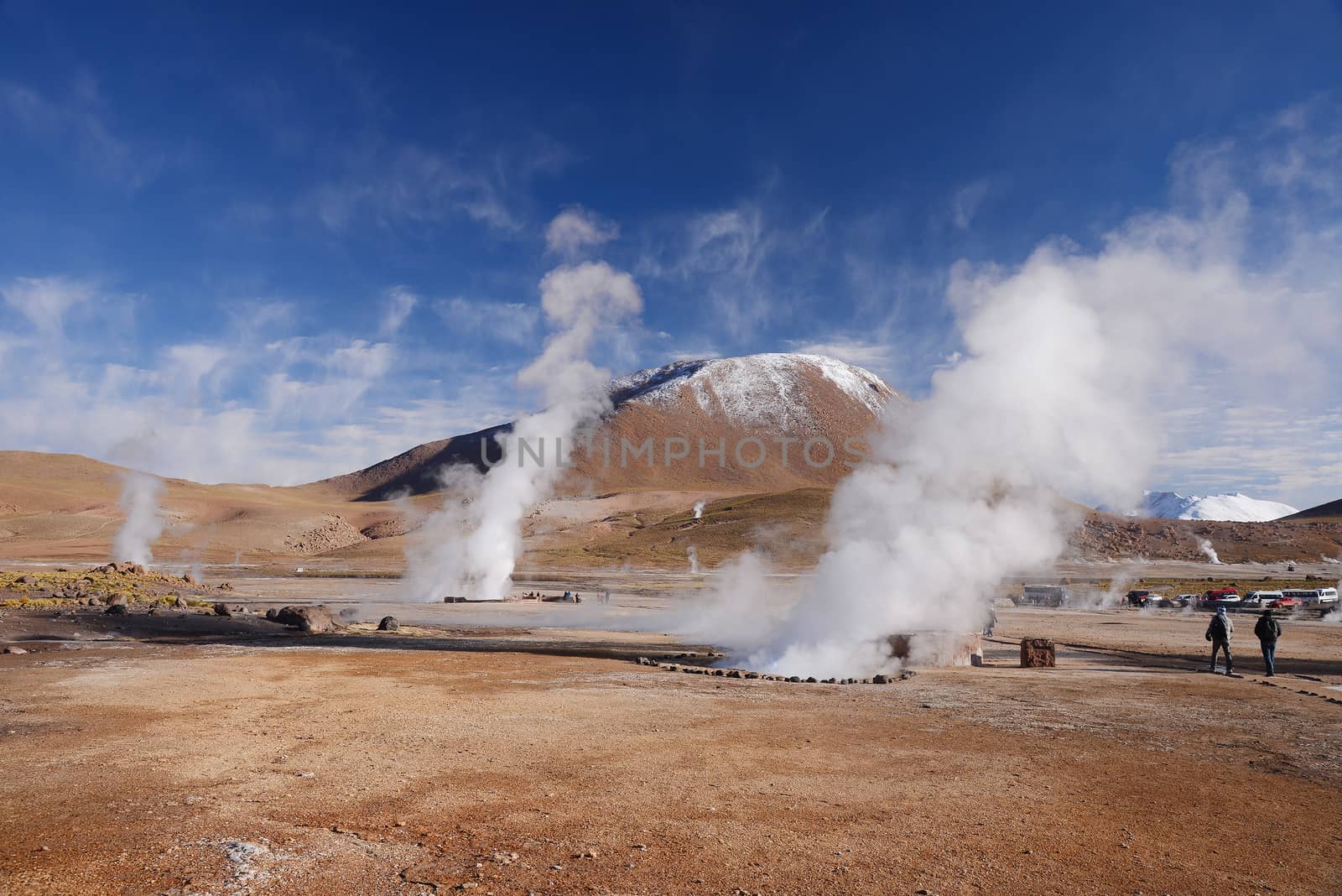 hot vapor plume from El Tatio geyser in northern chile