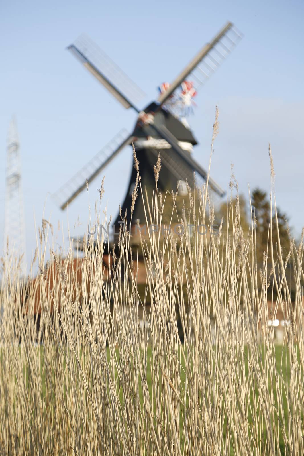 Historic windmill in North Germany