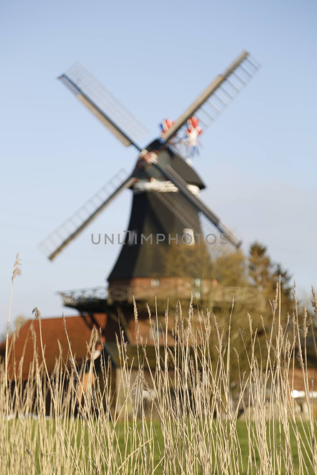 Historic windmill in North Germany