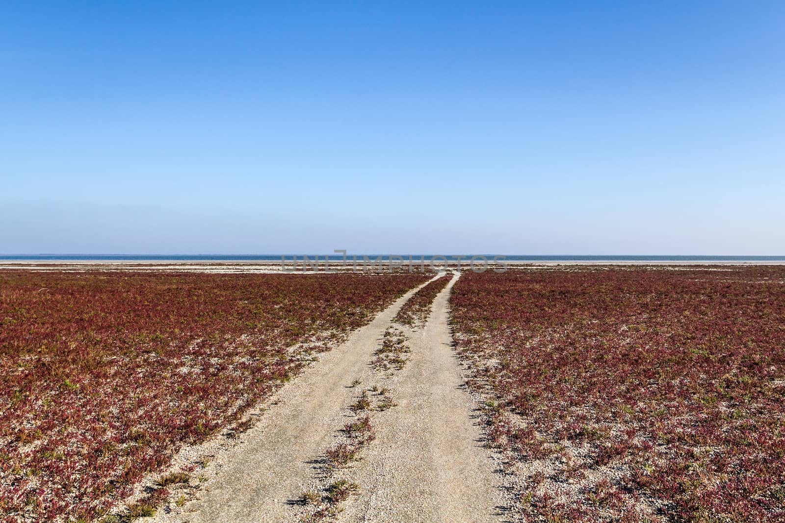 The steppe road to the sea