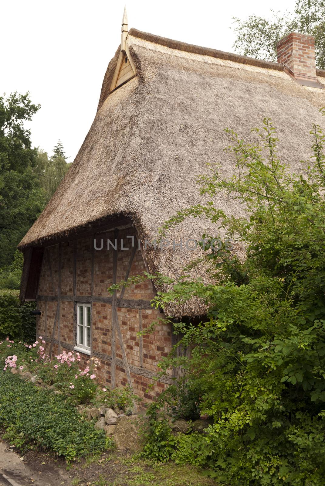 Thatched Roof House in Germany