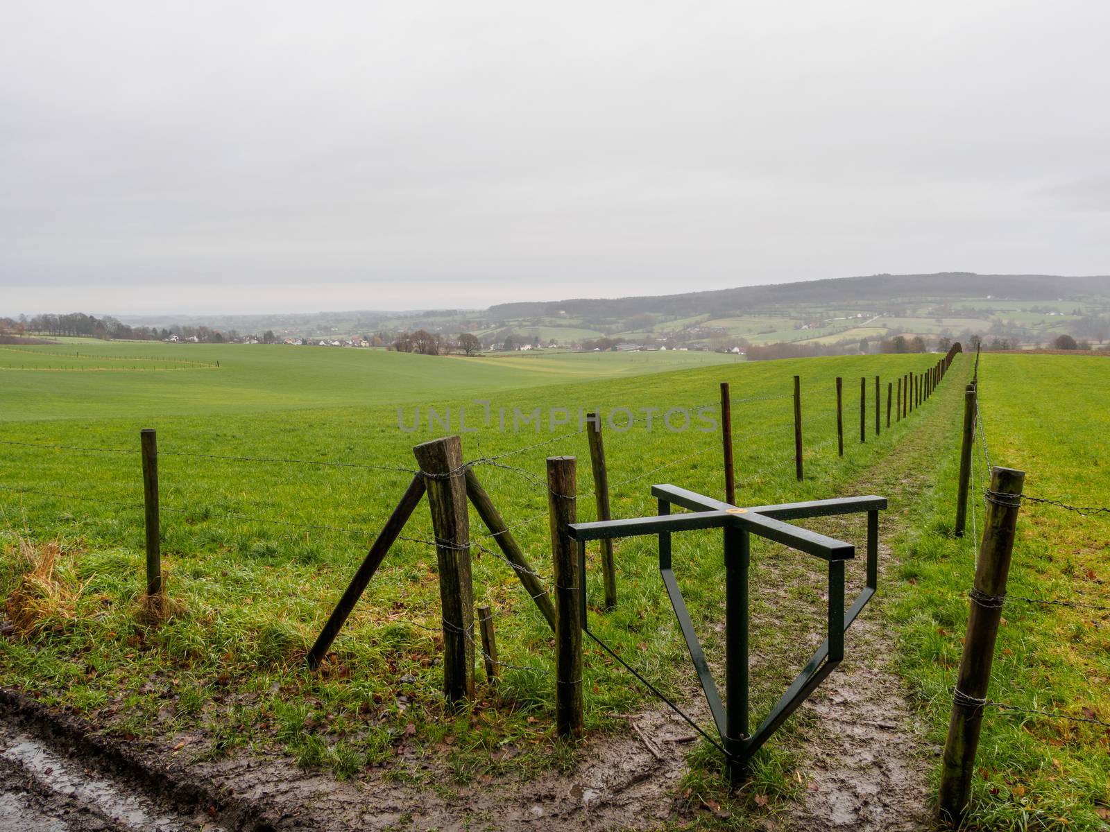 Empty meadows in Limburg by frankhoekzema