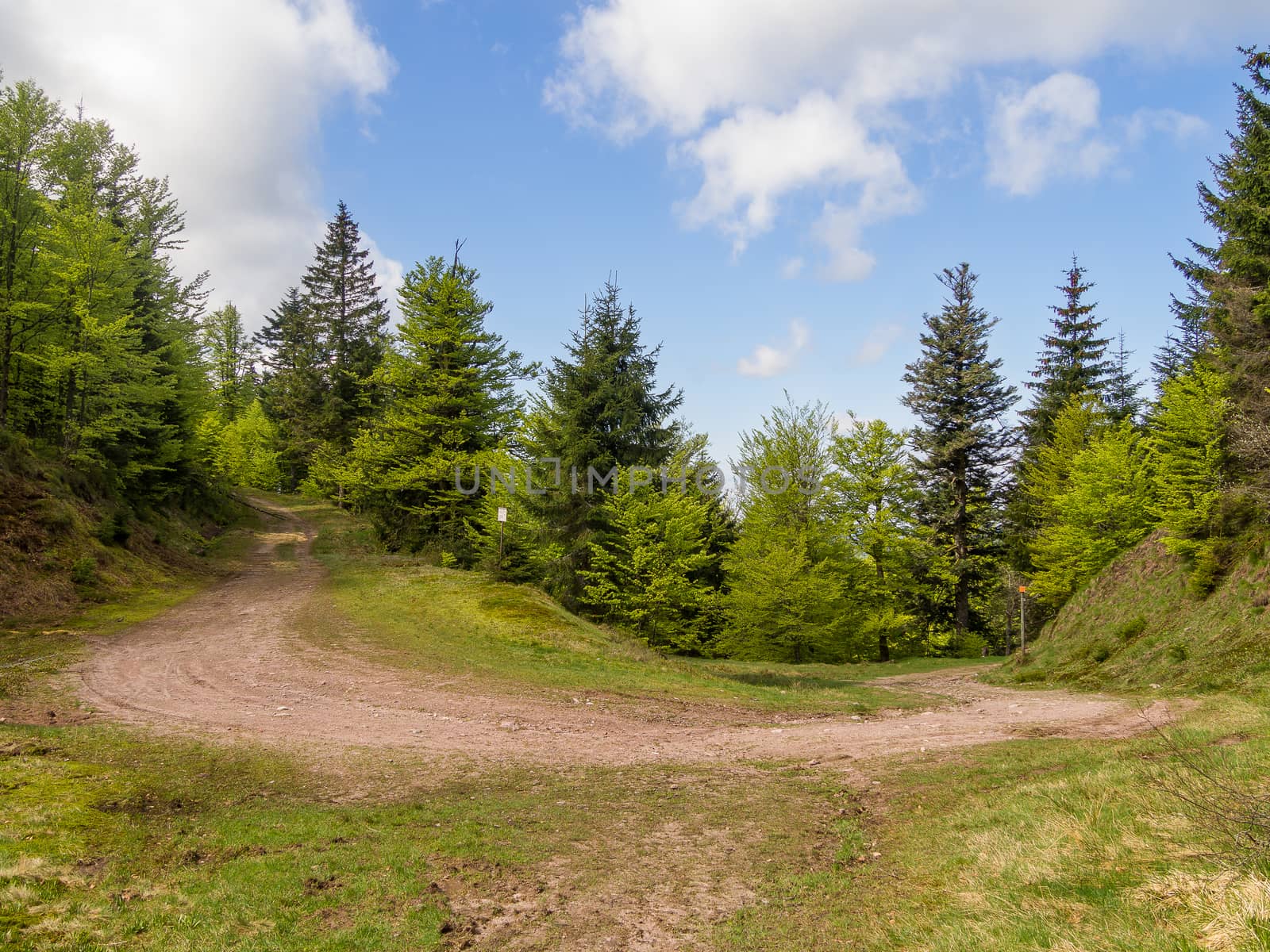 Natural hairpin turn in the Vosges hills, France