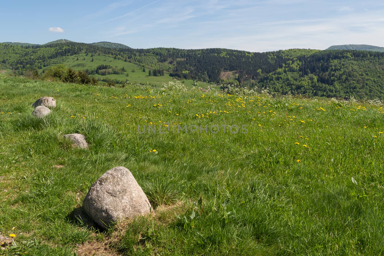 Sunny day on the vosges hills by frankhoekzema