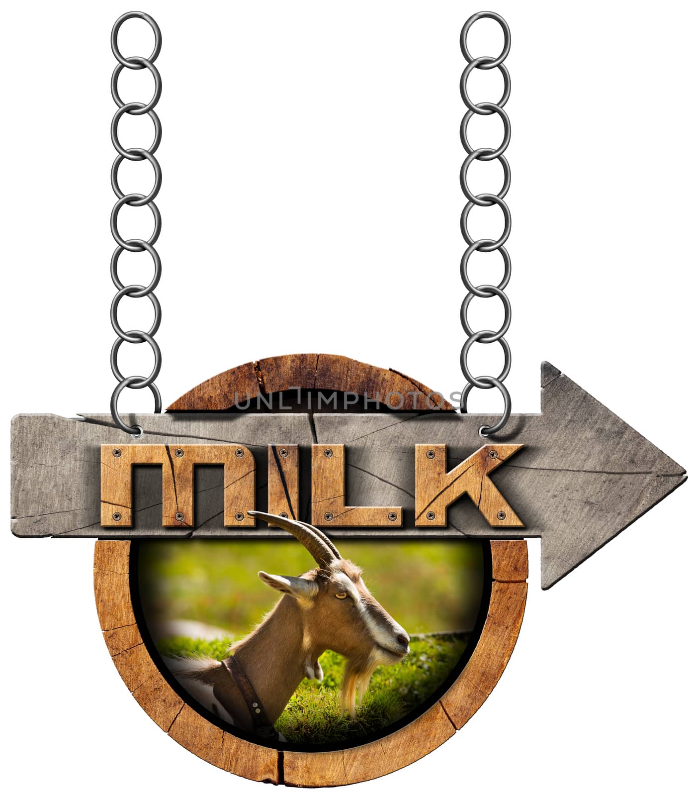 Wooden sign with directional arrow with text Milk, head of goat with horns. Hanging from a metal chain and isolated on white