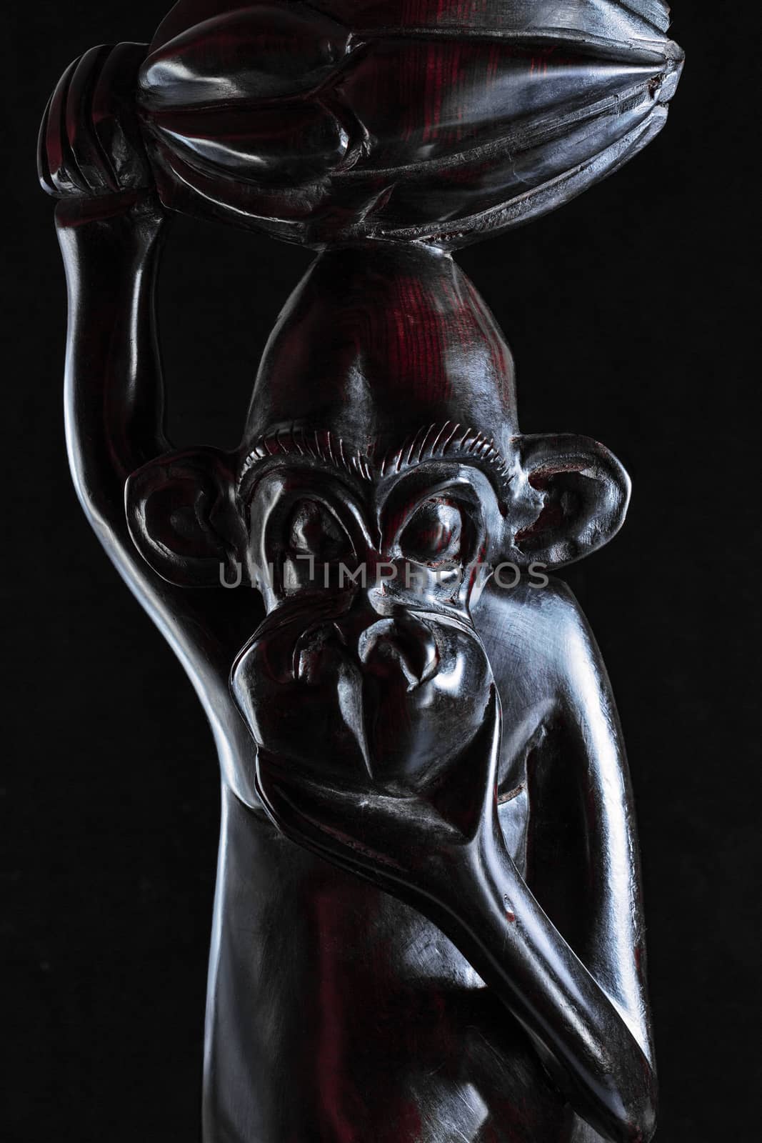 sculpture of monkey by EnzoArt