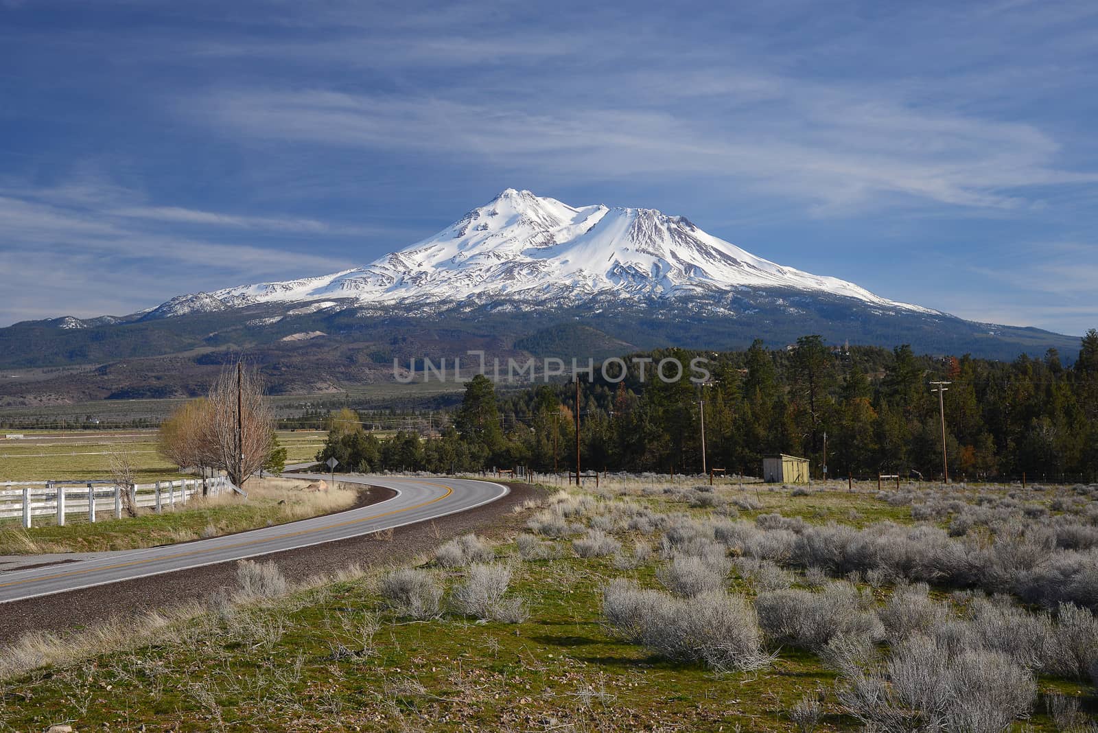 snow capped mount shasta with a blue sky