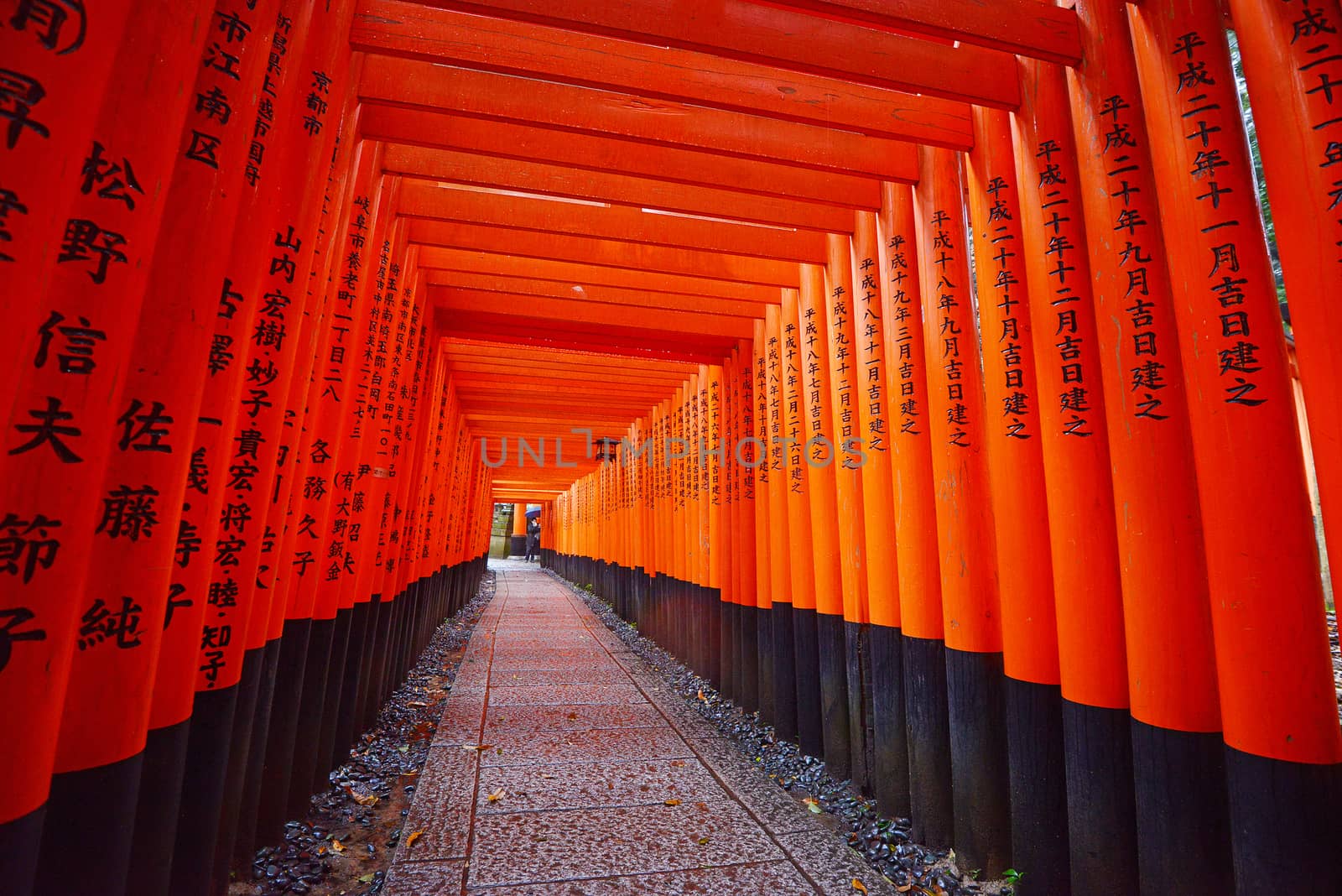 the famous japanese path with red gate called Fushimi Inari