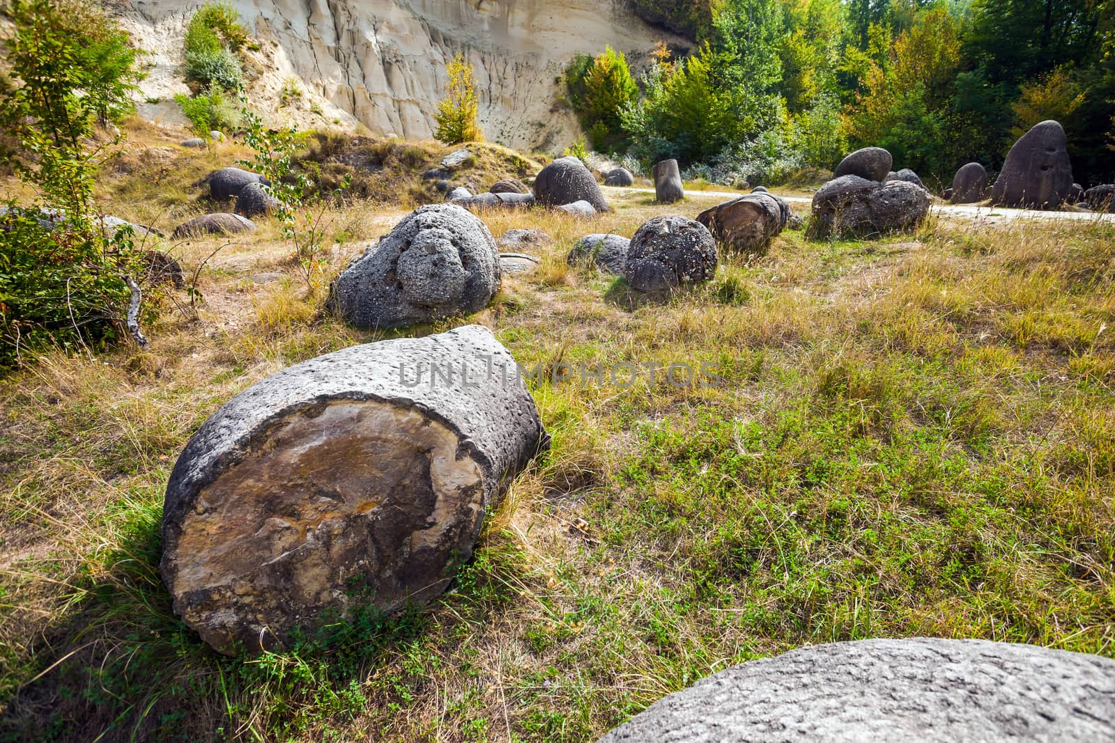 Costesti, Romania - Septemper 2, 2012: The Trovants of Costesti - The Living and Growing Stones of Romania