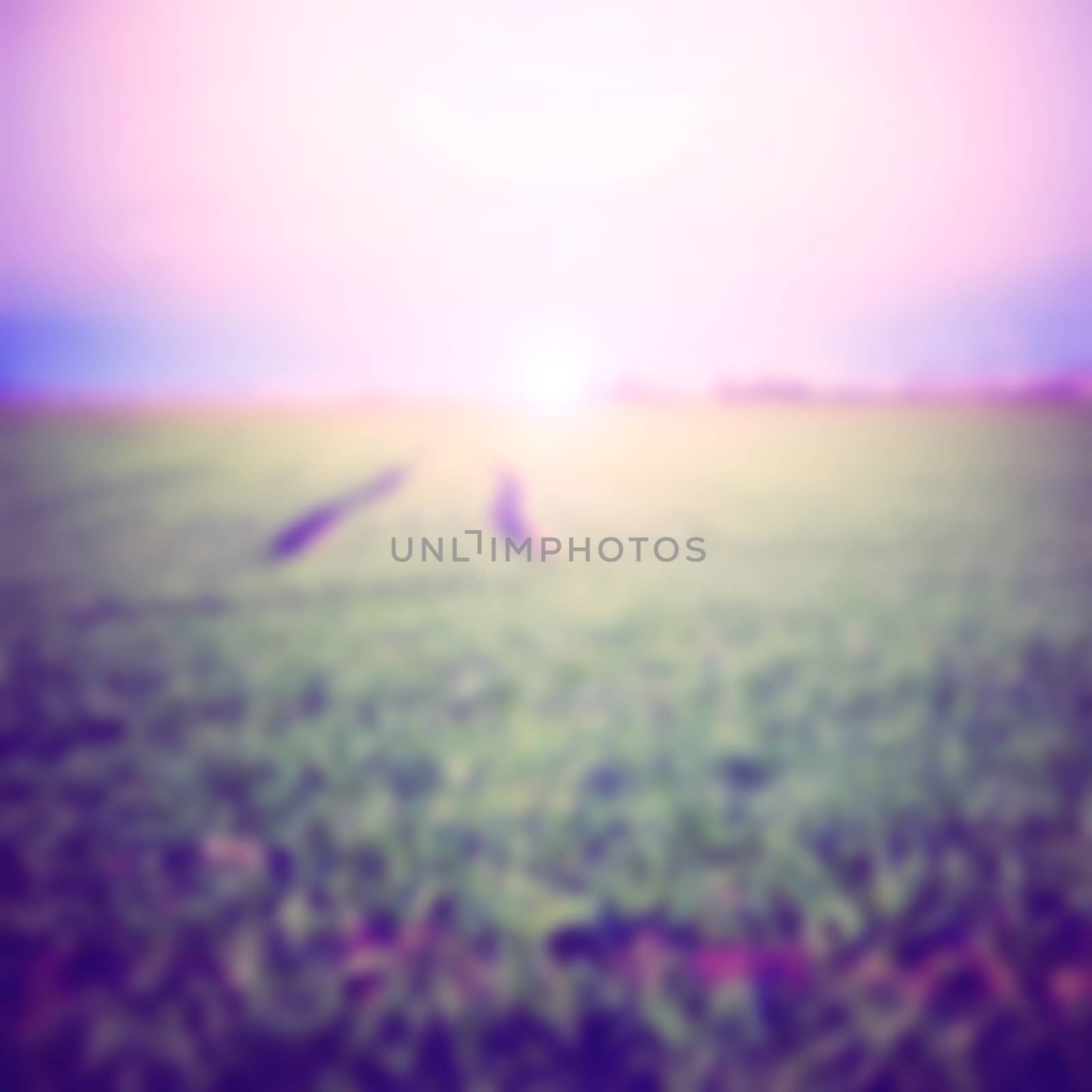 Nature. Blurred abstract bokeh nature background of field and sky at summer. 