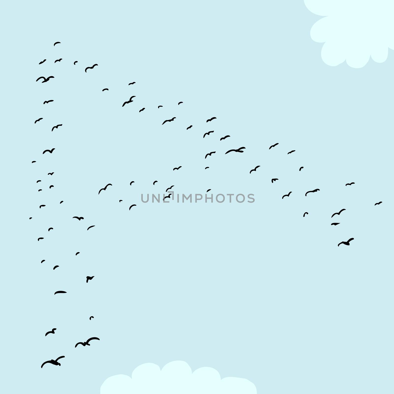 Bird Formation In A by TheBlackRhino