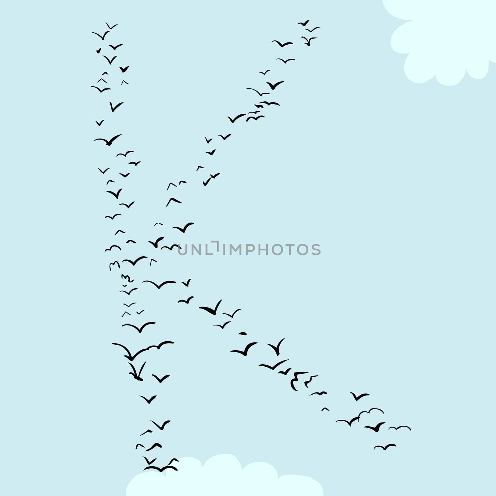 Bird Formation In K by TheBlackRhino