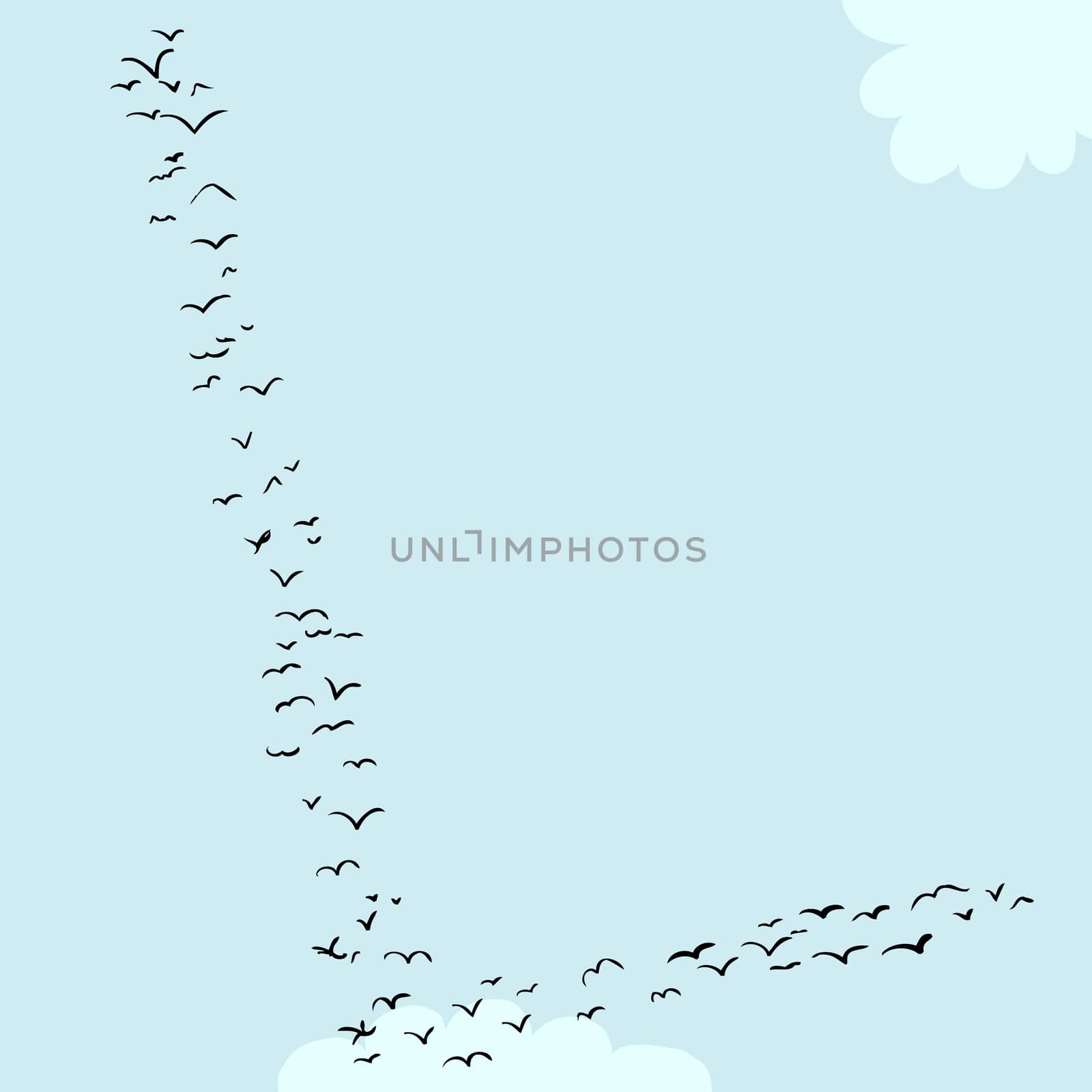 Bird Formation In L by TheBlackRhino