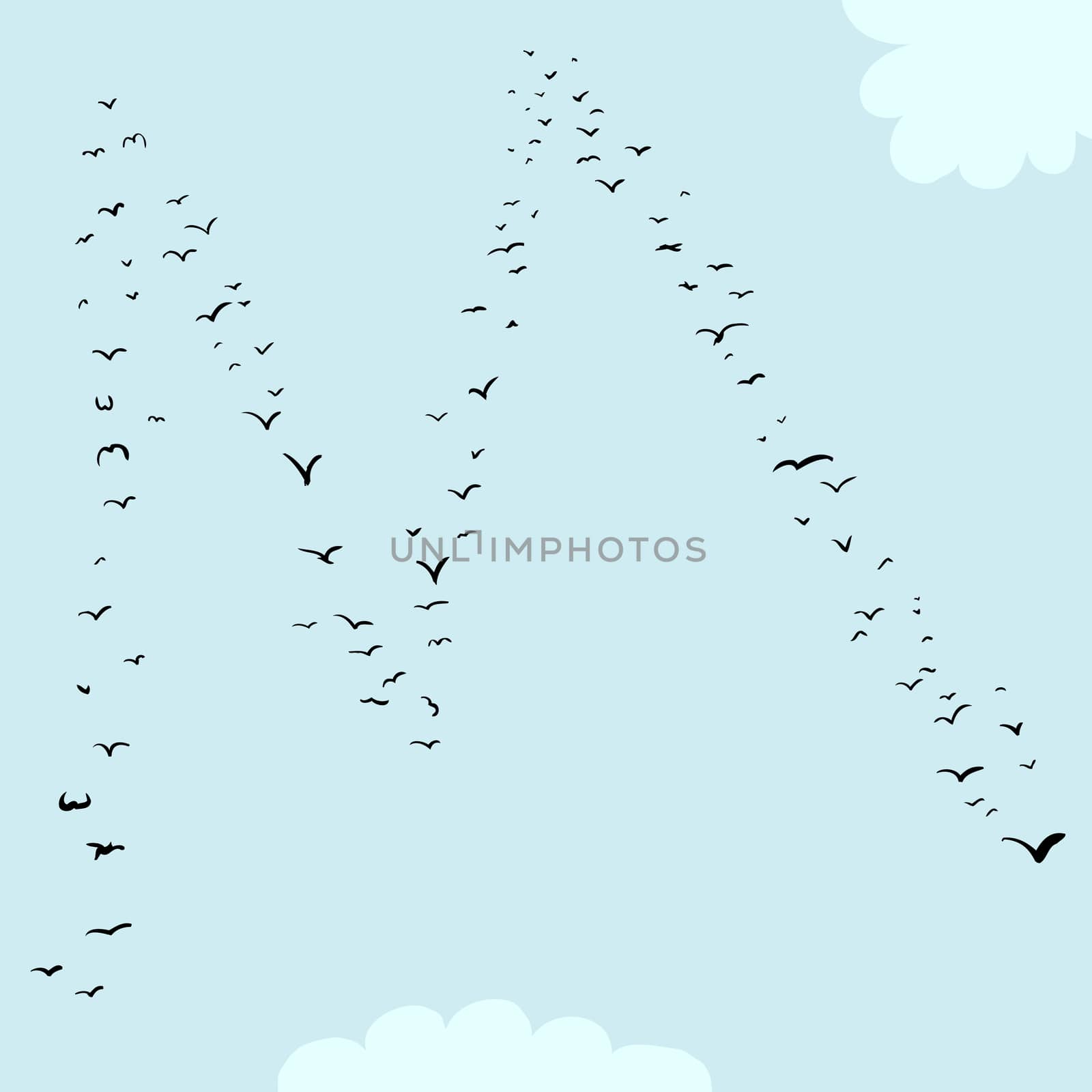 Illustration of a flock of birds in the shape of the letter m