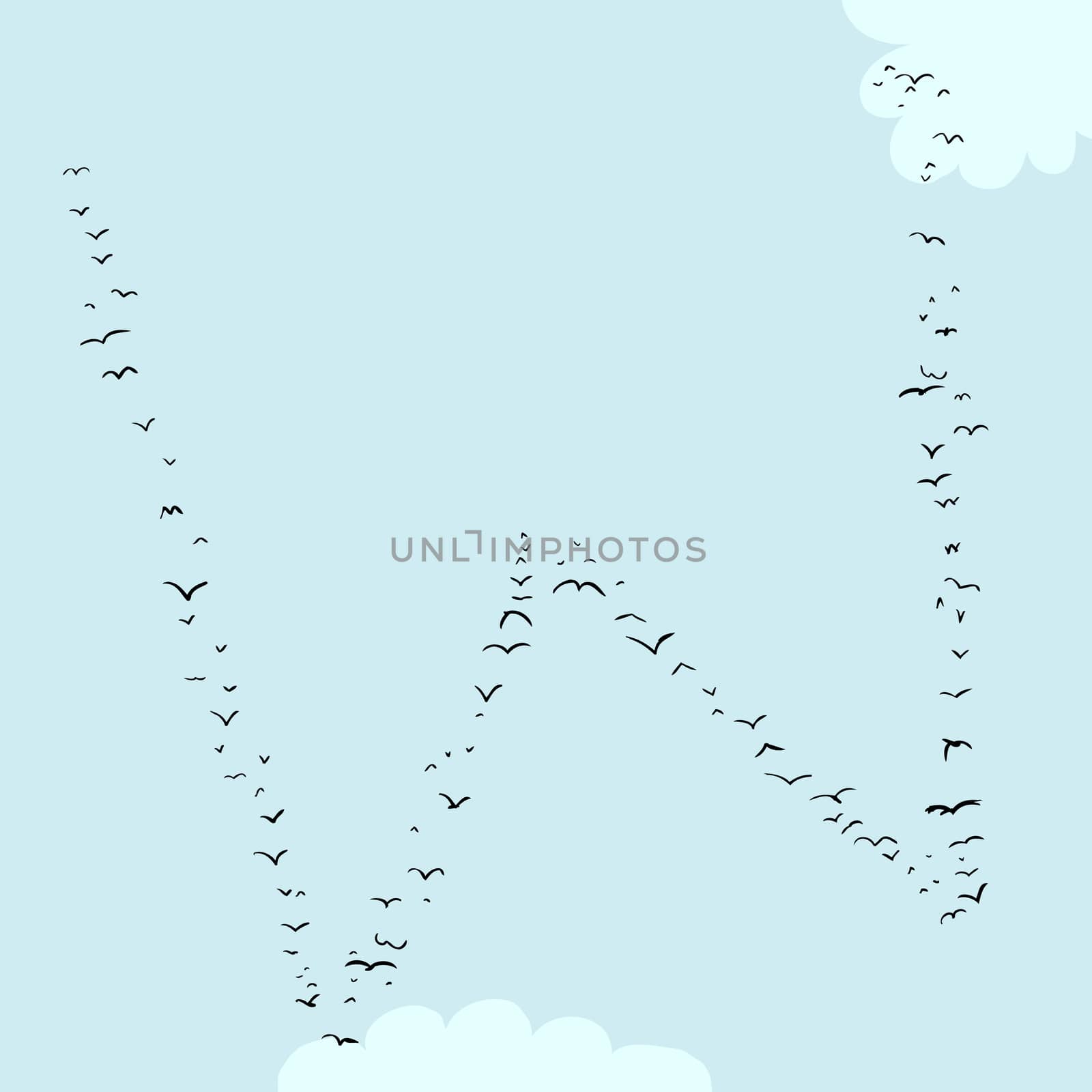Bird Formation In W by TheBlackRhino
