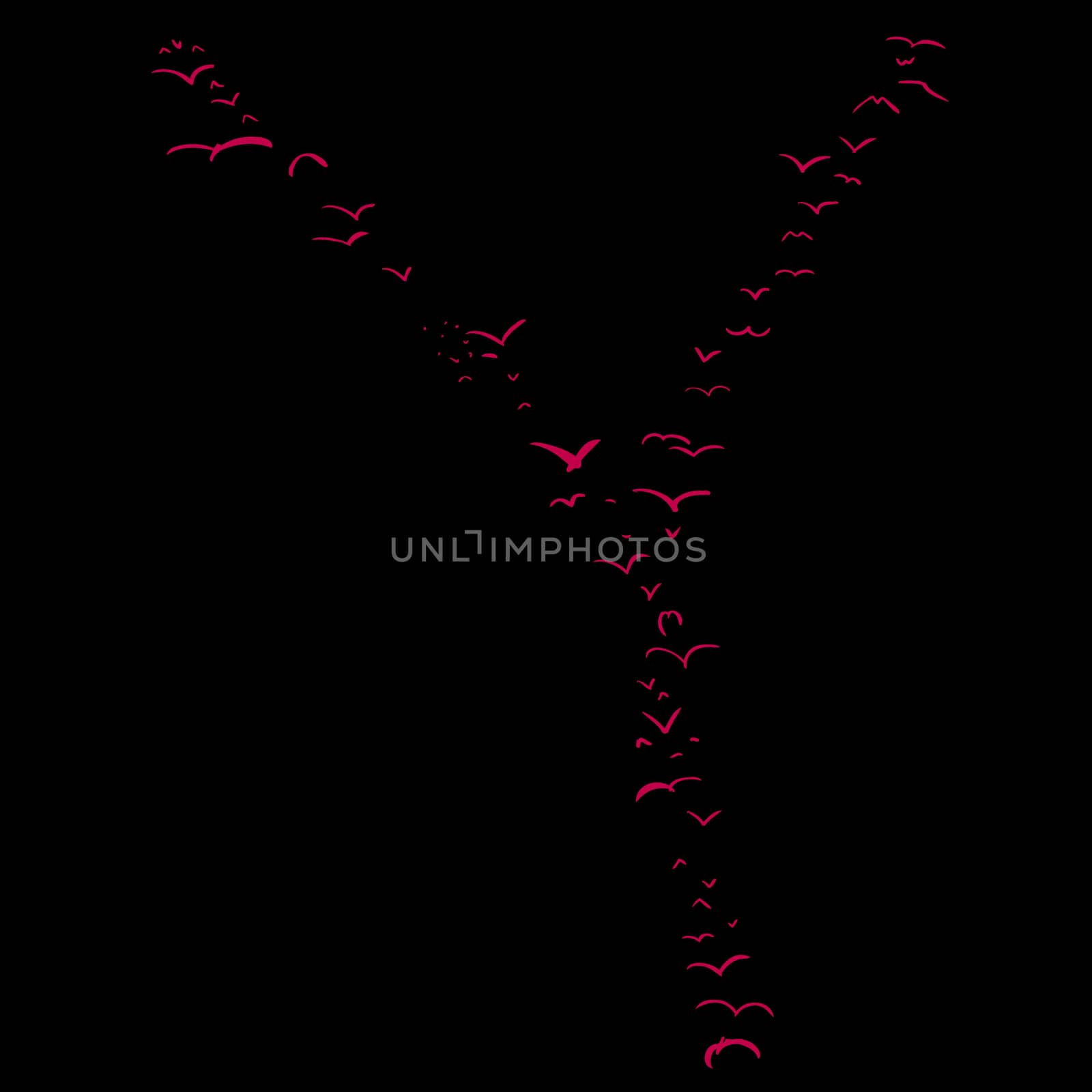 Bird Formation In Y by TheBlackRhino