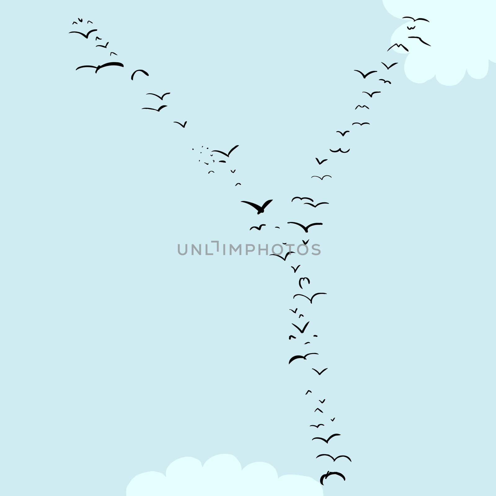 Illustration of a flock of birds in the shape of the letter Y
