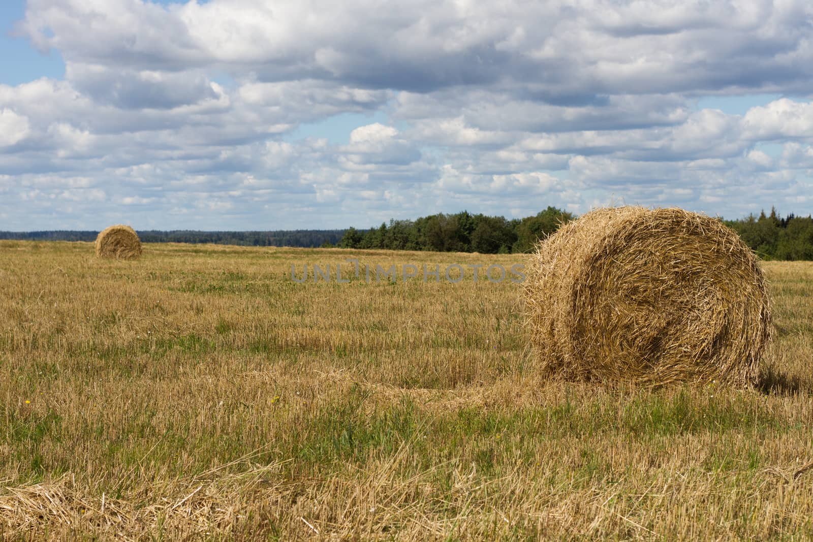 Agriculture straw gathered into a sheaf field harvest sky by olegkozyrev