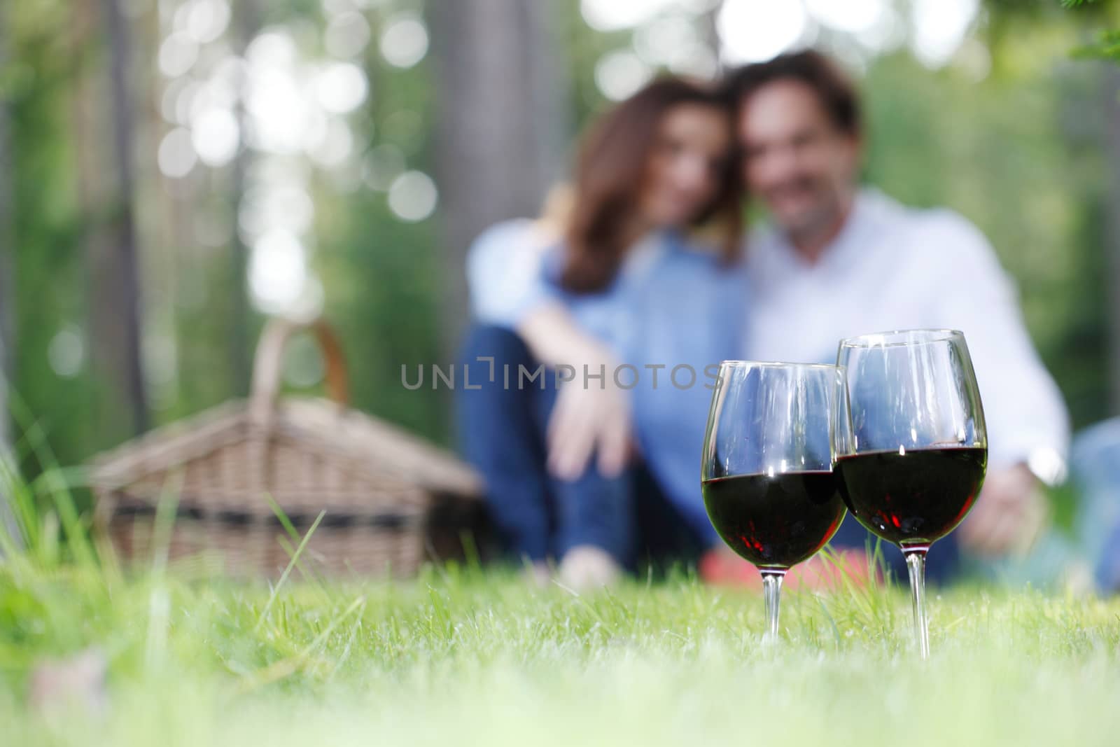 couple at picnic in the park