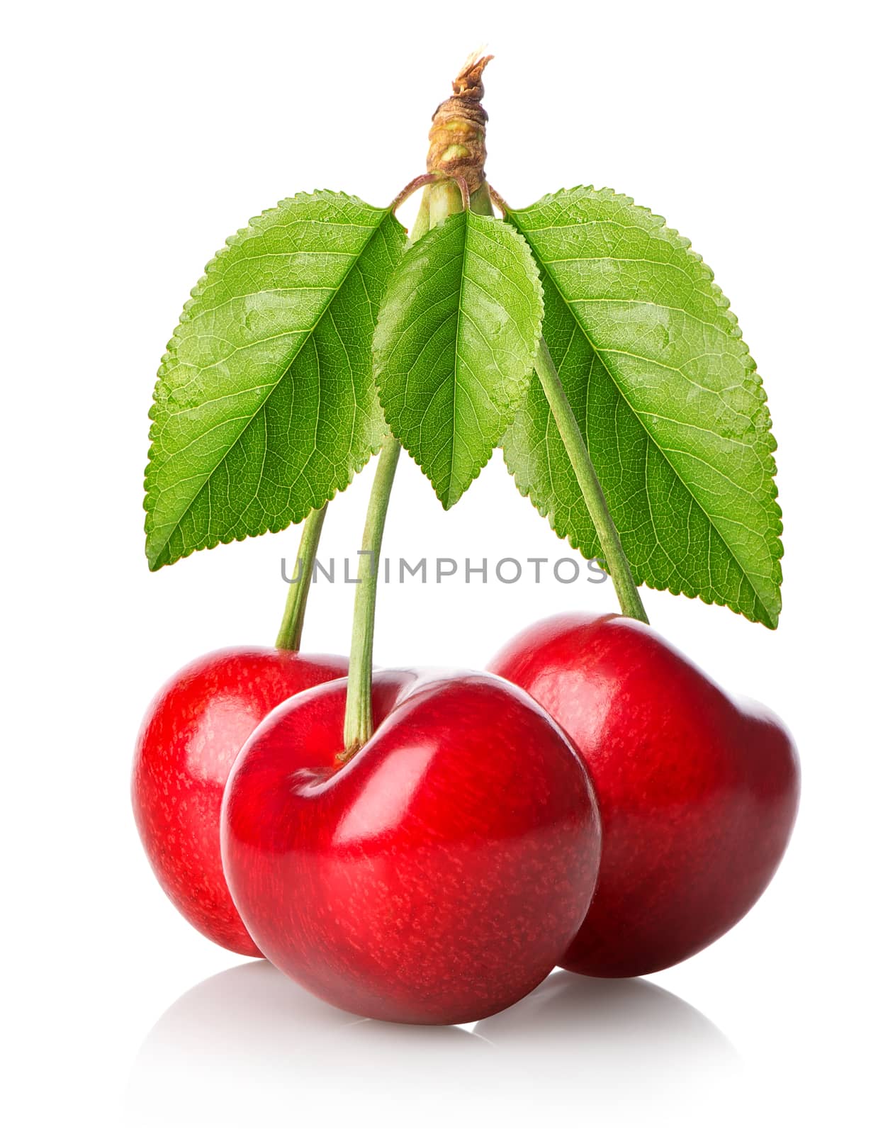 Three cherries by Givaga