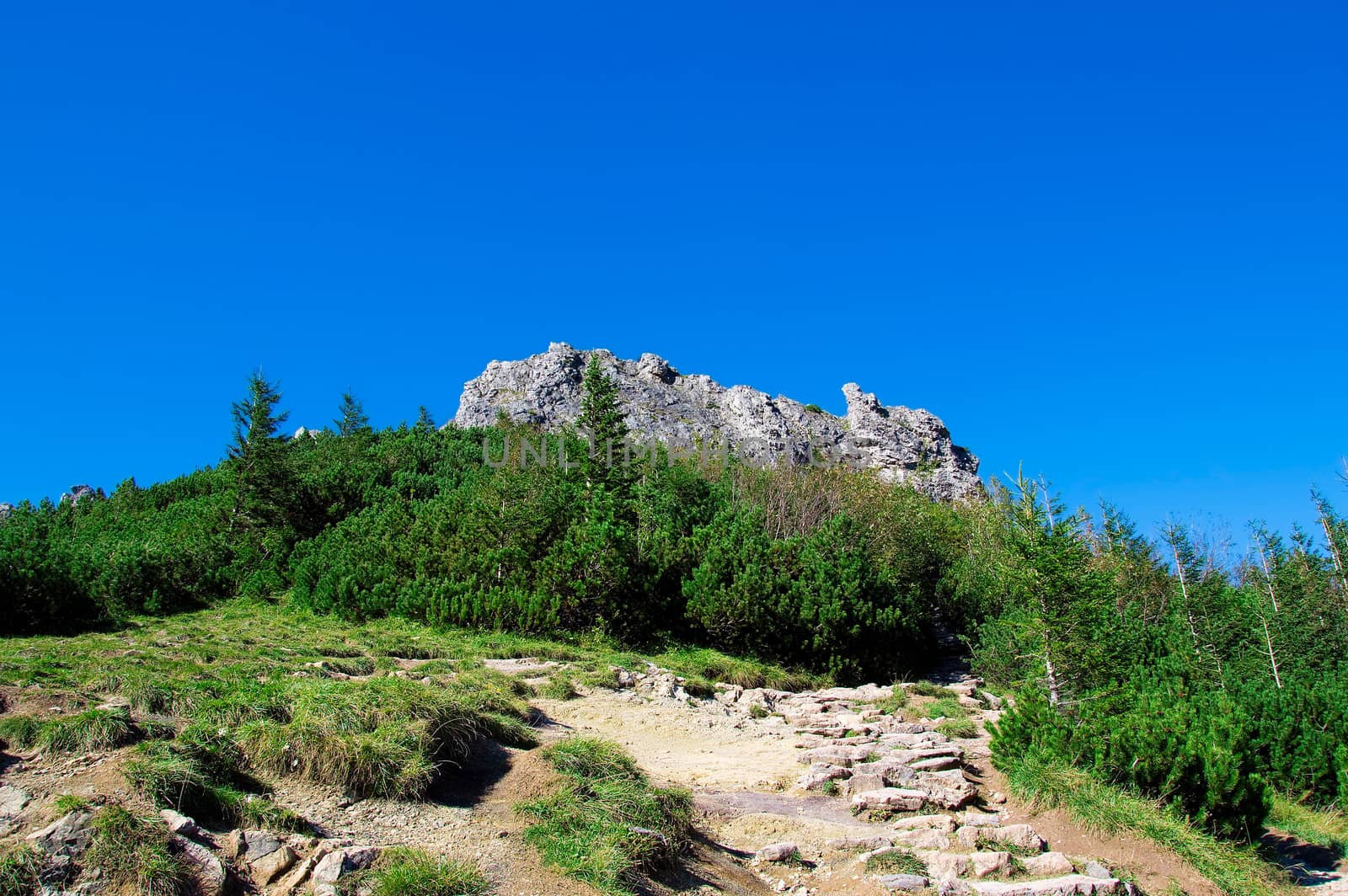 Tatra mountains. Sarnia Skala in Tatra mountains, Poland.