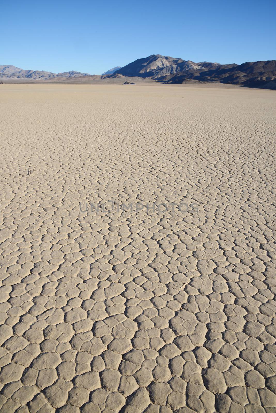 dry mud crack in racetrack playa in death valley national park