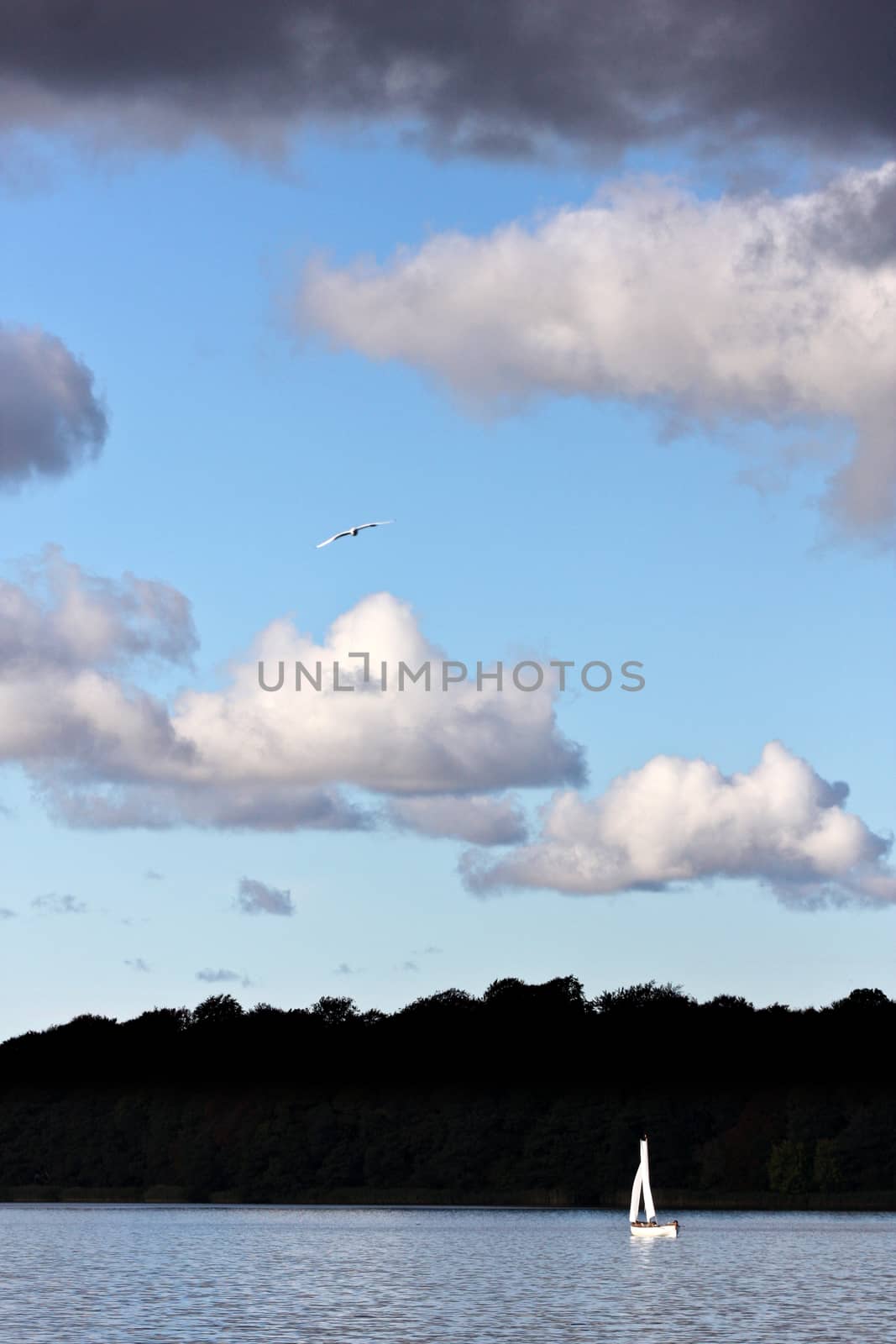 Boat sailing on a lake in Denmark