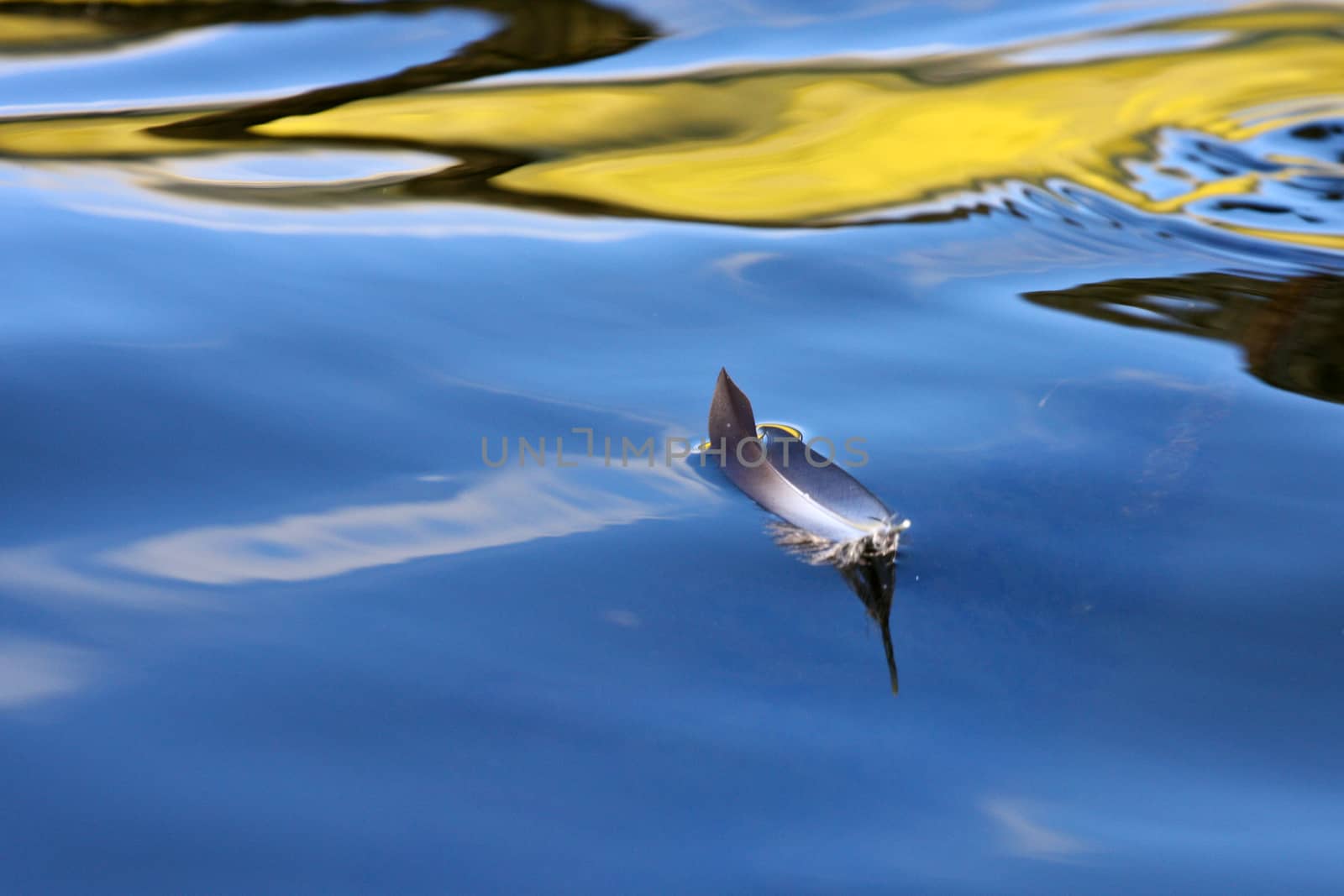 Reflexion on a lake in Denmark with blue colour