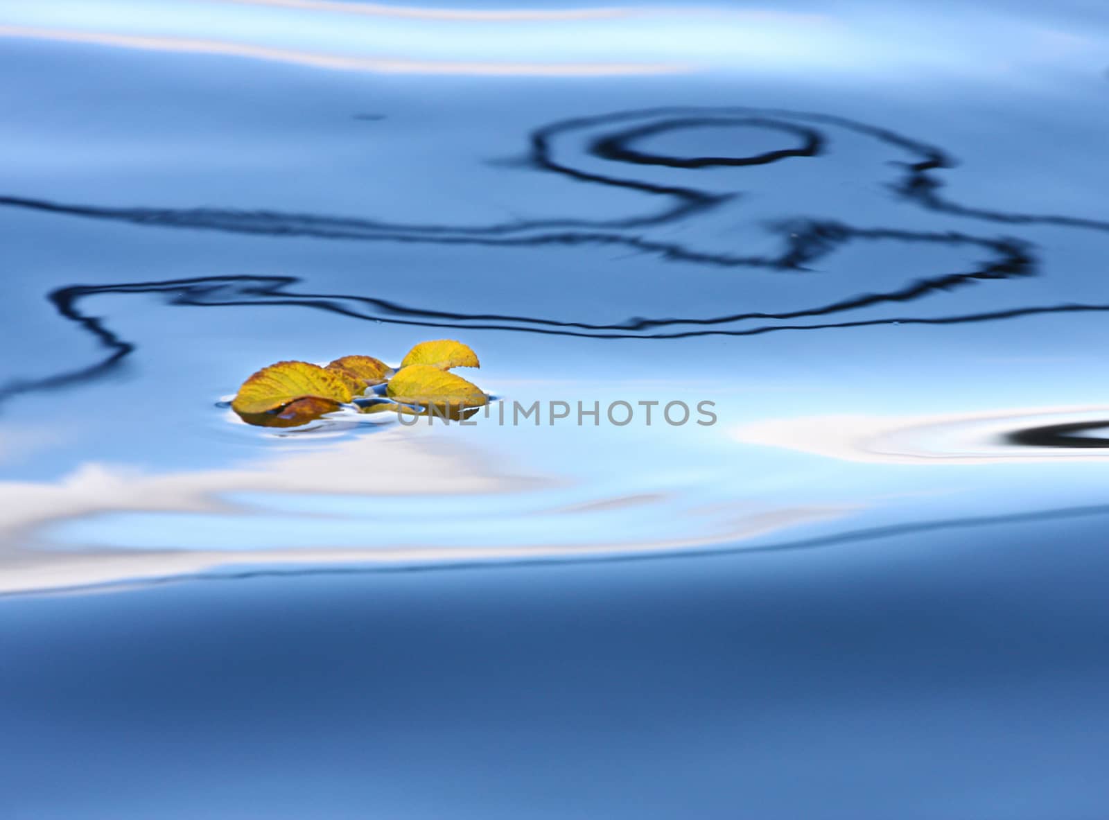 Reflexion on a lake in Denmark with blue colour