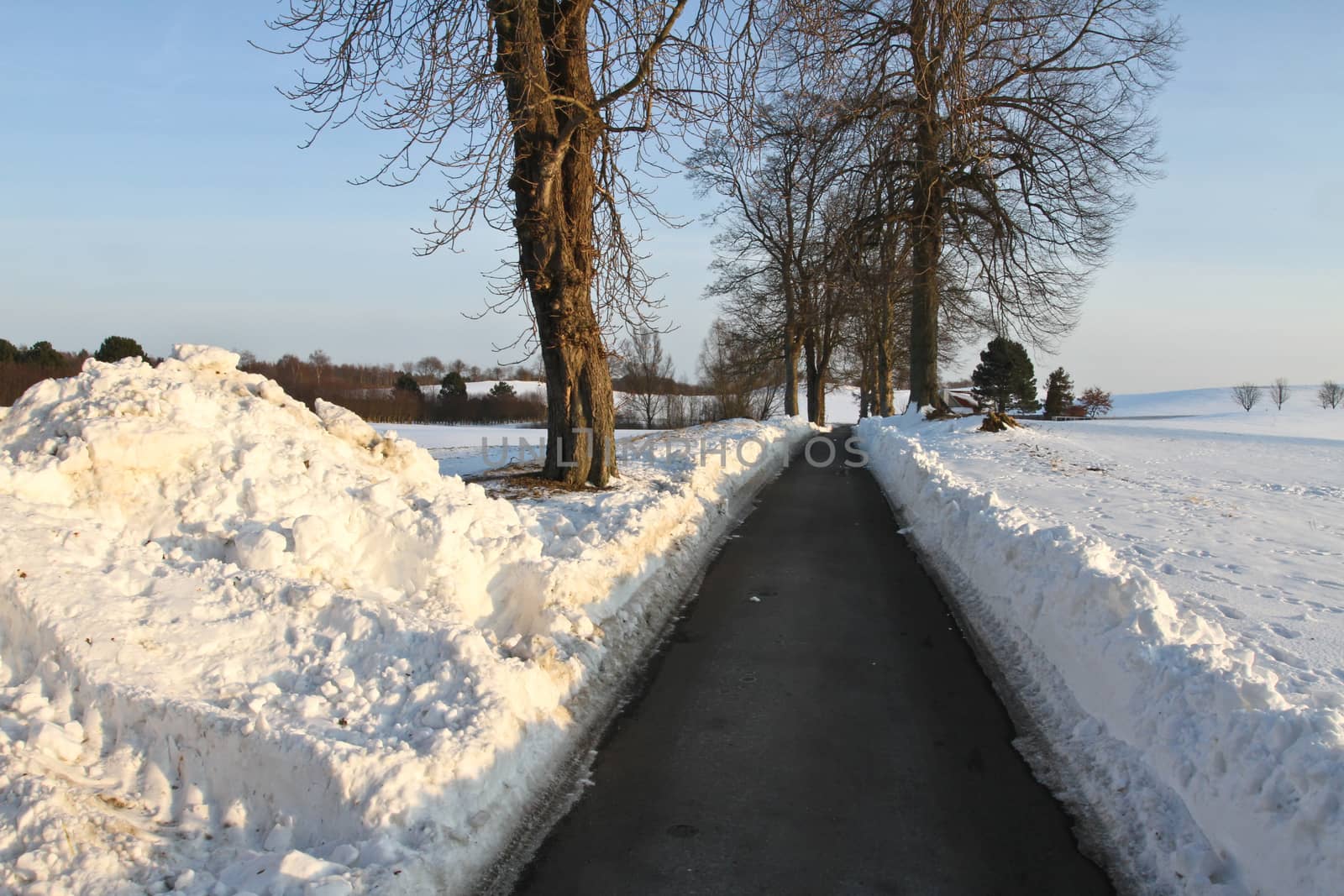 Path in the snow in winter in Denmark
