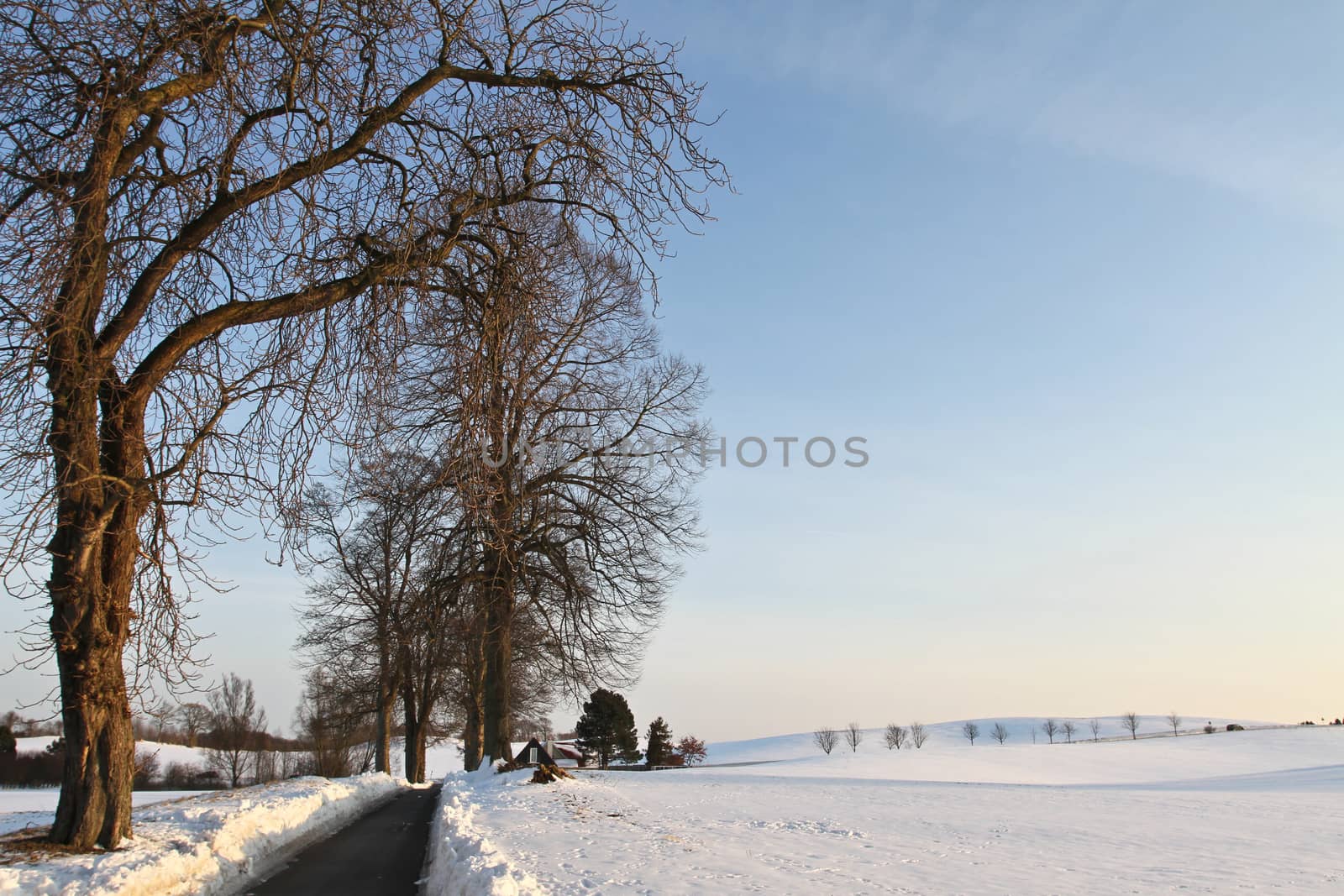 Path in the snow in winter in Denmark