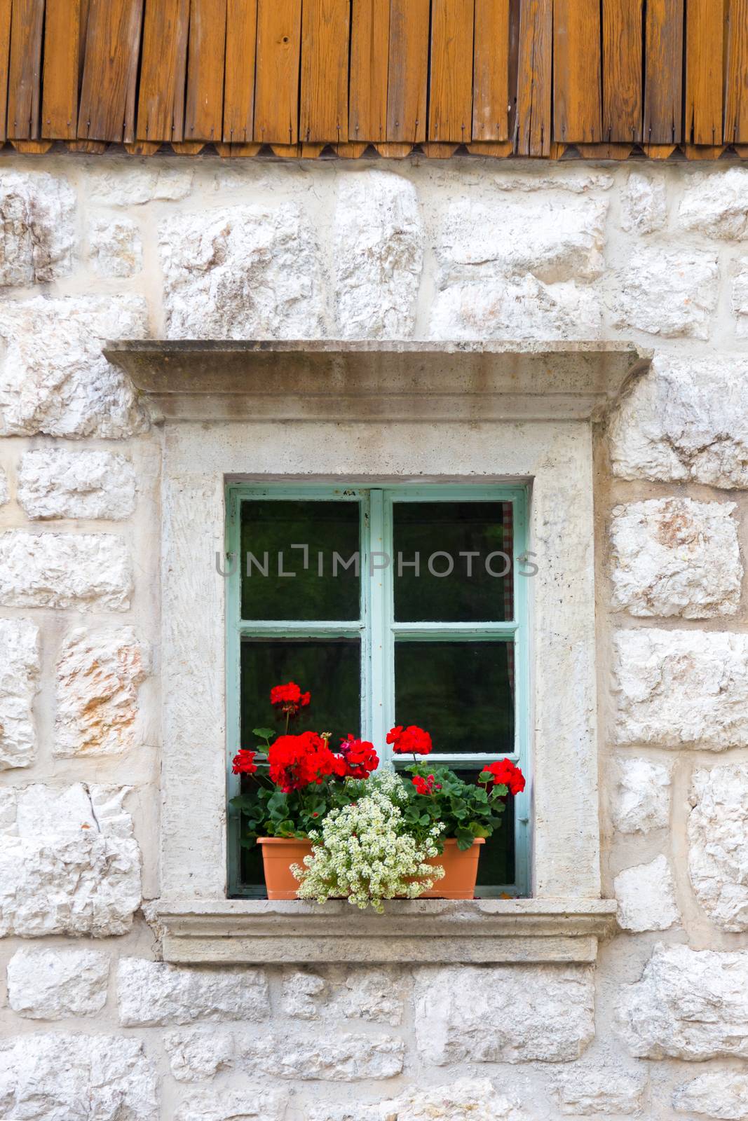 Vintagel alpine stone window with typical red carnation flowers on window sill. Detail from traditional mountain house with wooden paneling.