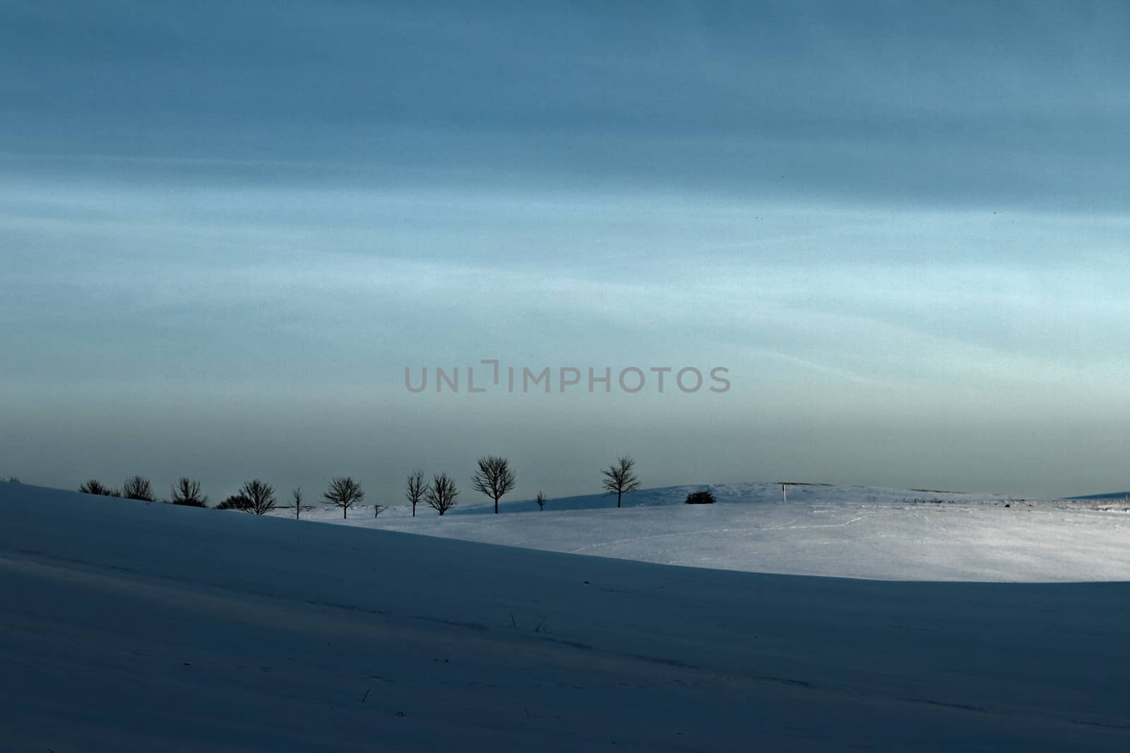 Winter sceneries in Denmark with a field covered by snow in the sun