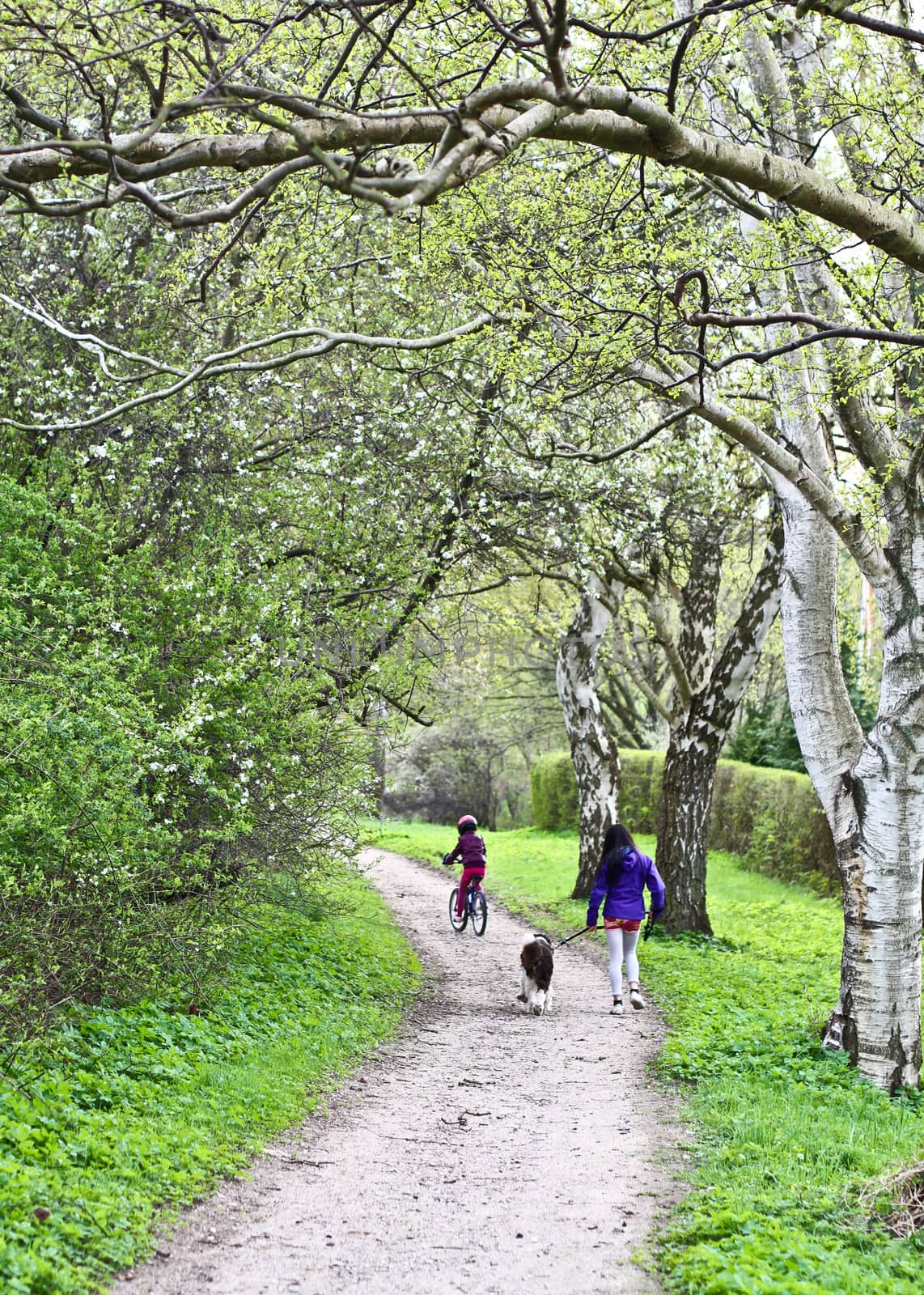 Family on a path in spring in Denmark