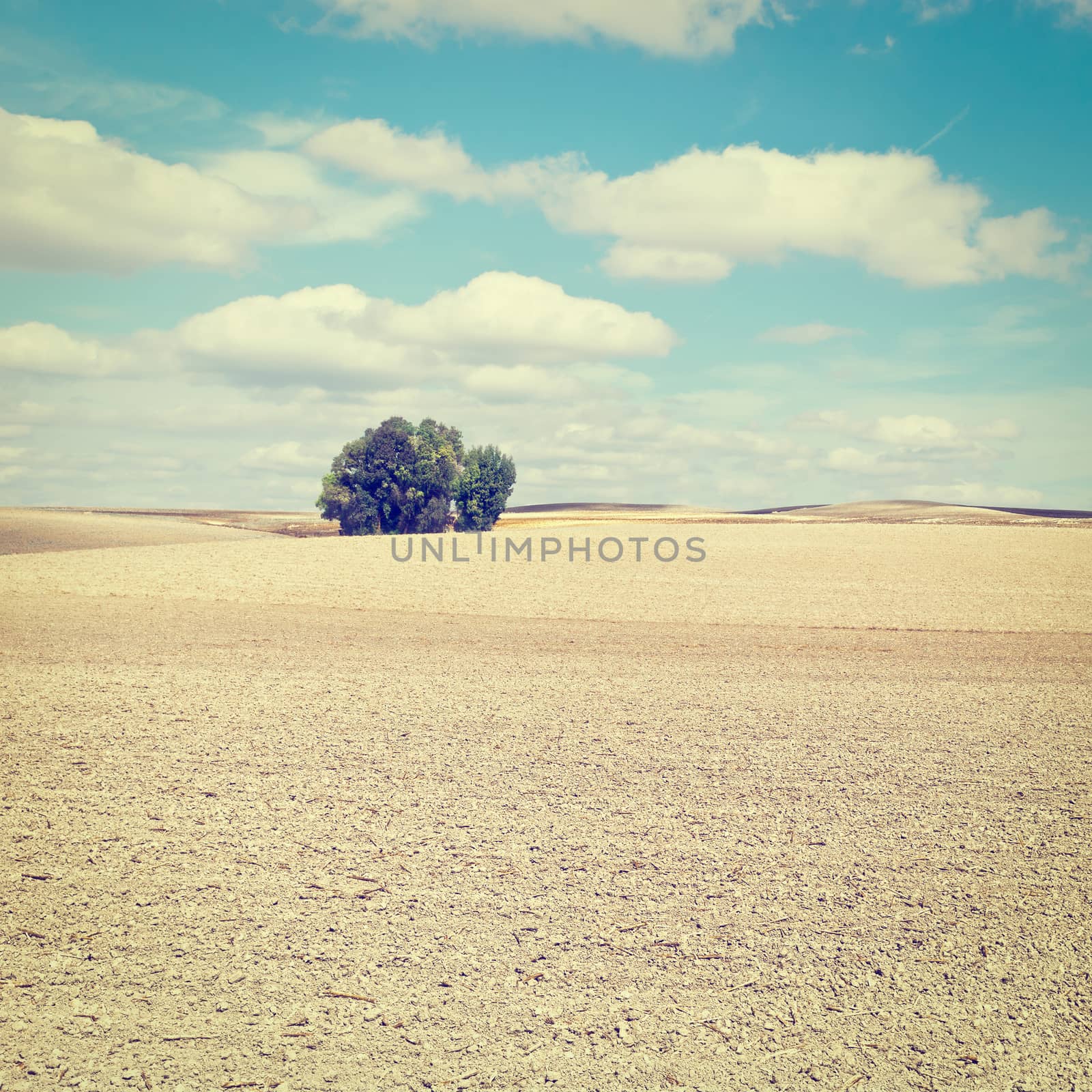 Plowed Sloping Hills of Spain in the Autumn, Instagram Effect