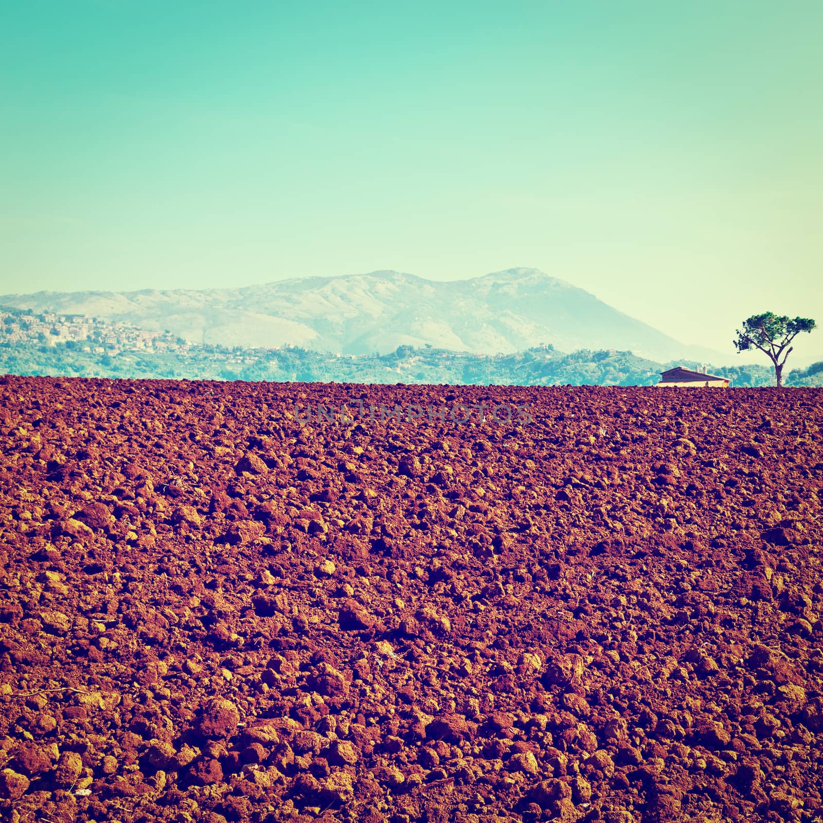 Plowed Sloping Fields of Tuscany in the Autumn, Instagram Effect