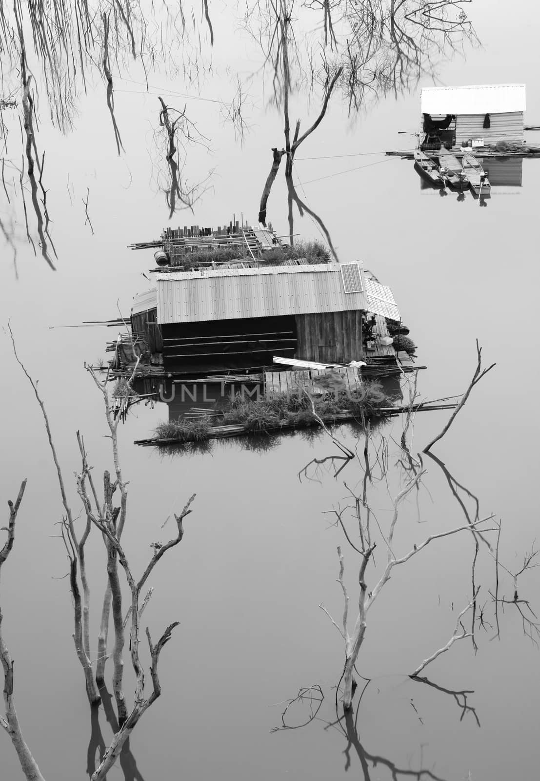 Vietnam landscape, floating house, tree reflect by xuanhuongho