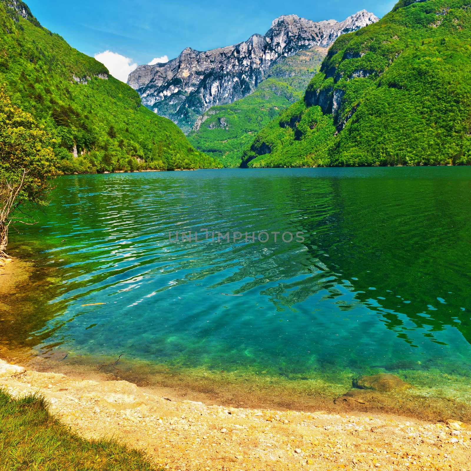 Green Water of the Mountain Lake  in the Italian Dolomites
