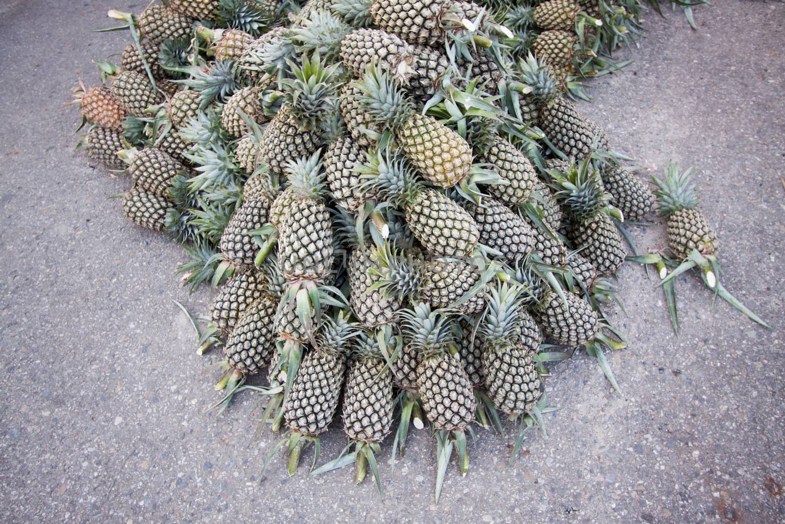 Closeup pineapple