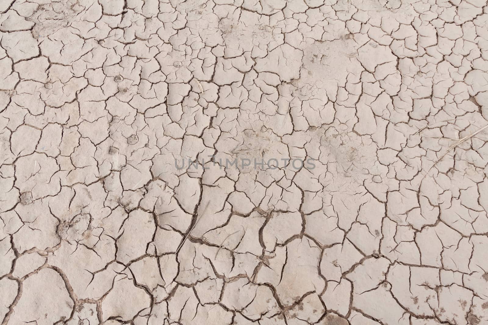 Dry cracked earth texture