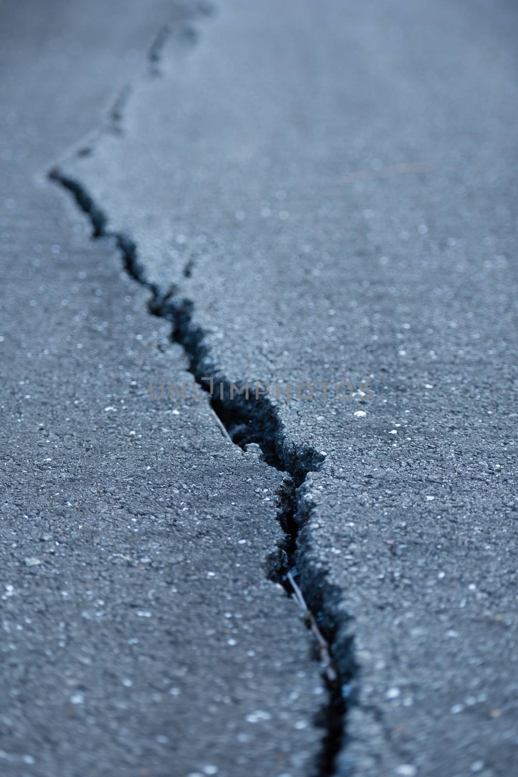 A long windy crack on a paved street.