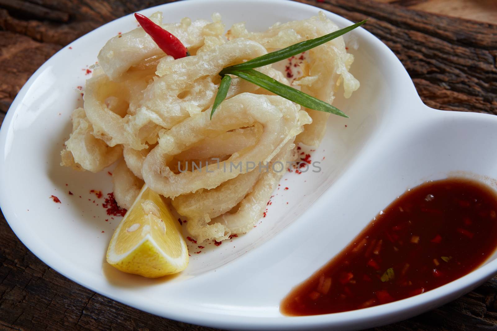 Deep Fried Calamari Rings with copy space