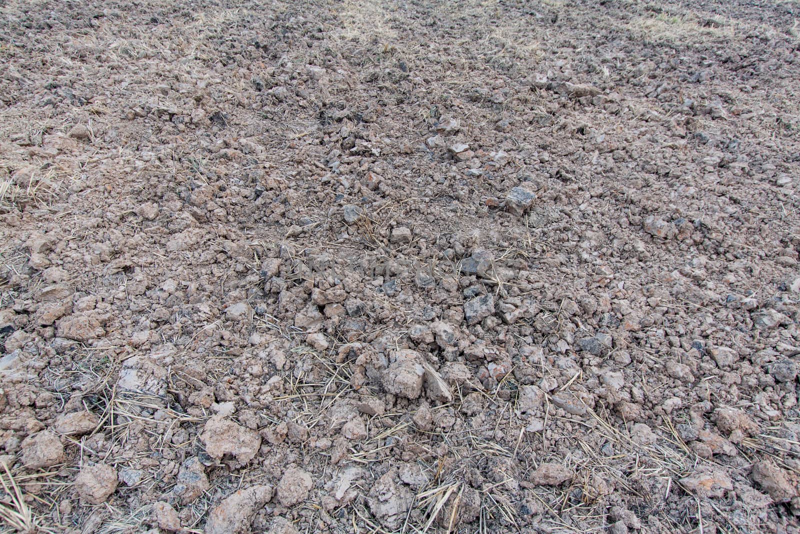 Rown soil of an agricultural field