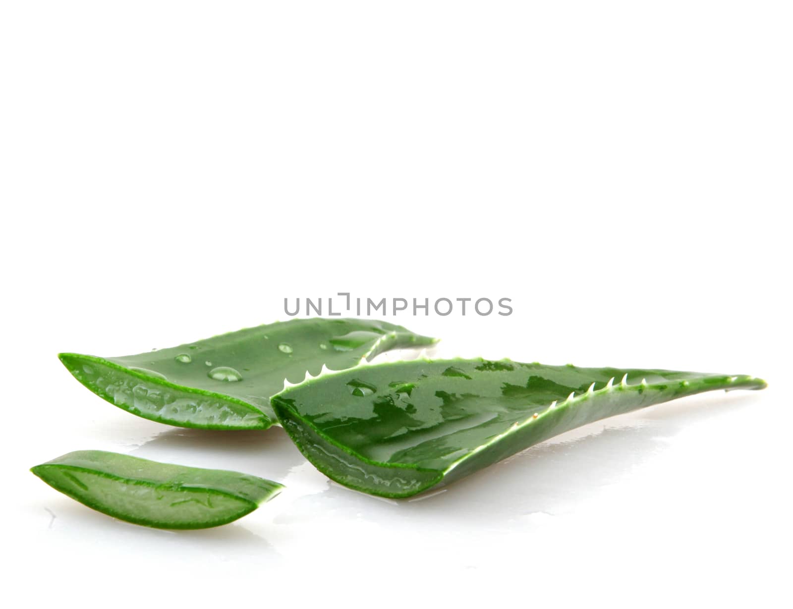 Aloe vera