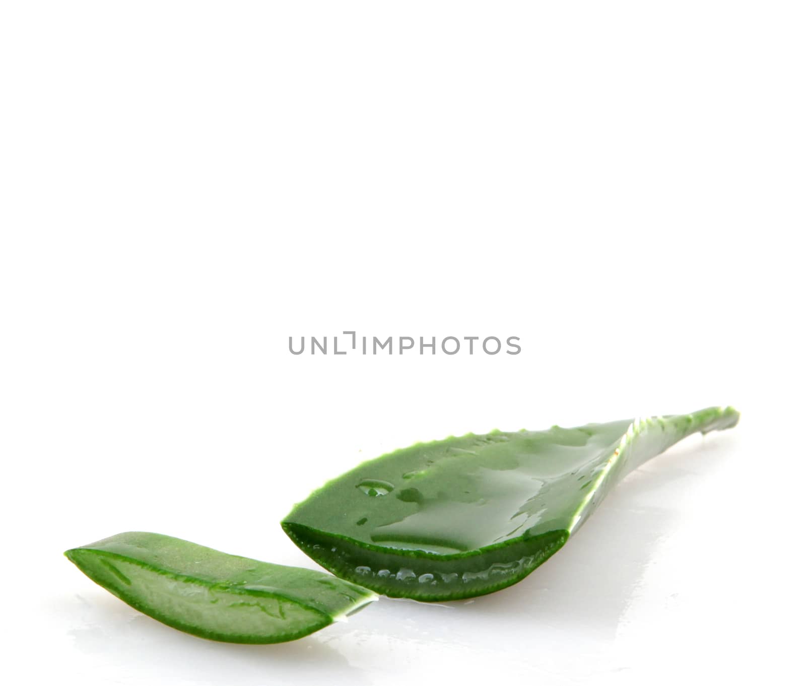 Aloe vera