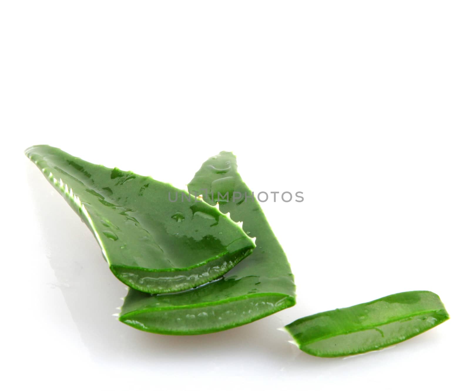 Aloe vera