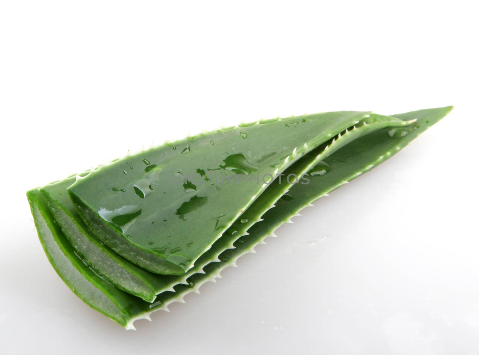 Aloe vera