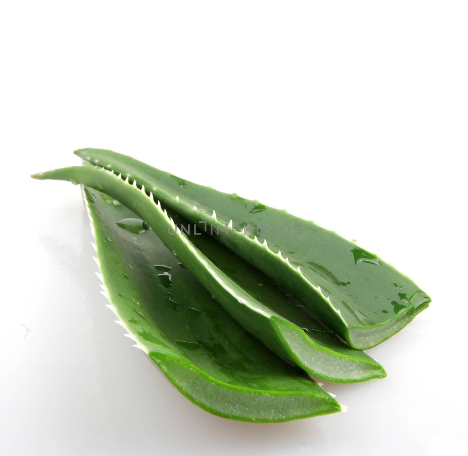 Aloe vera