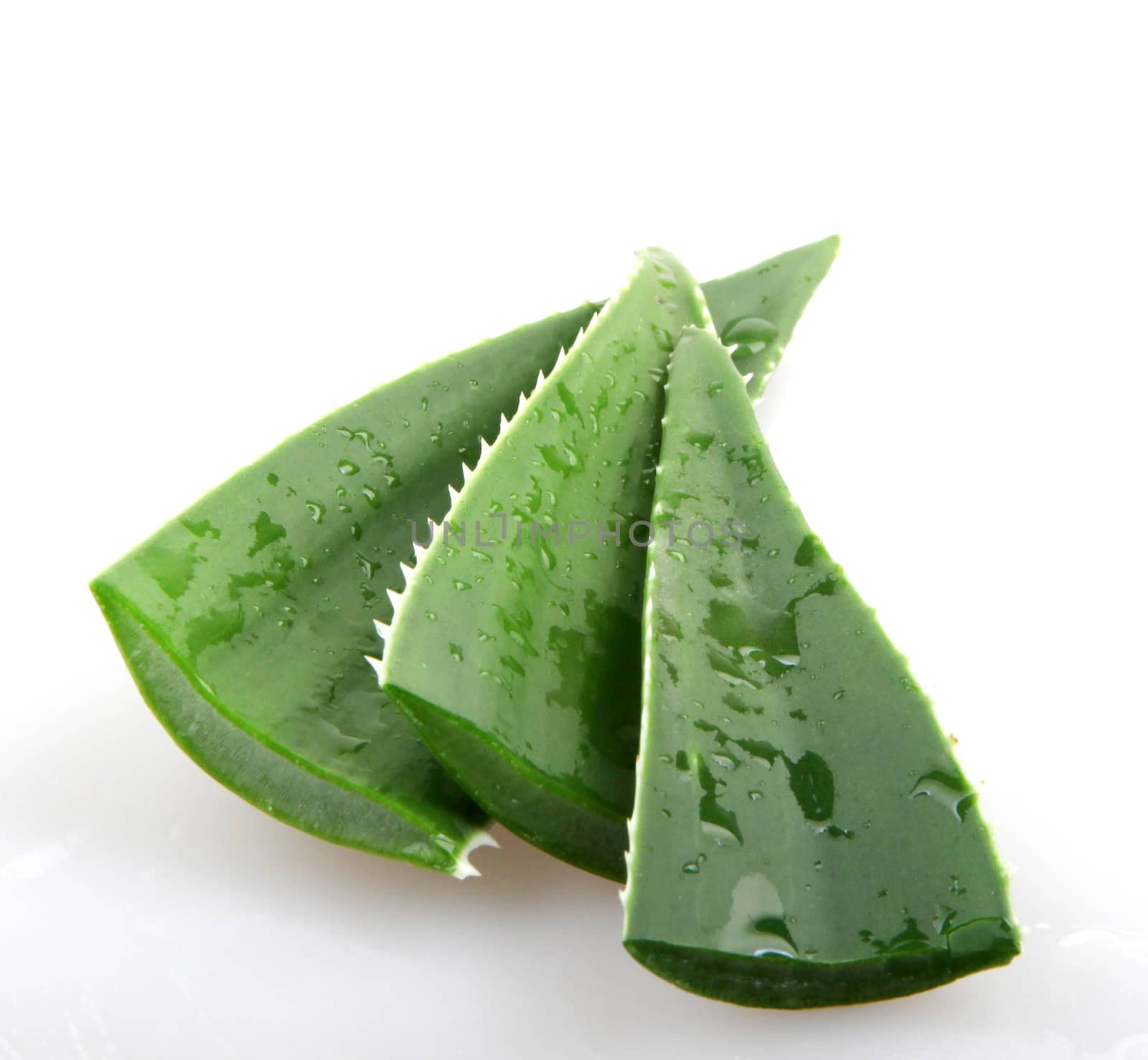 Aloe vera