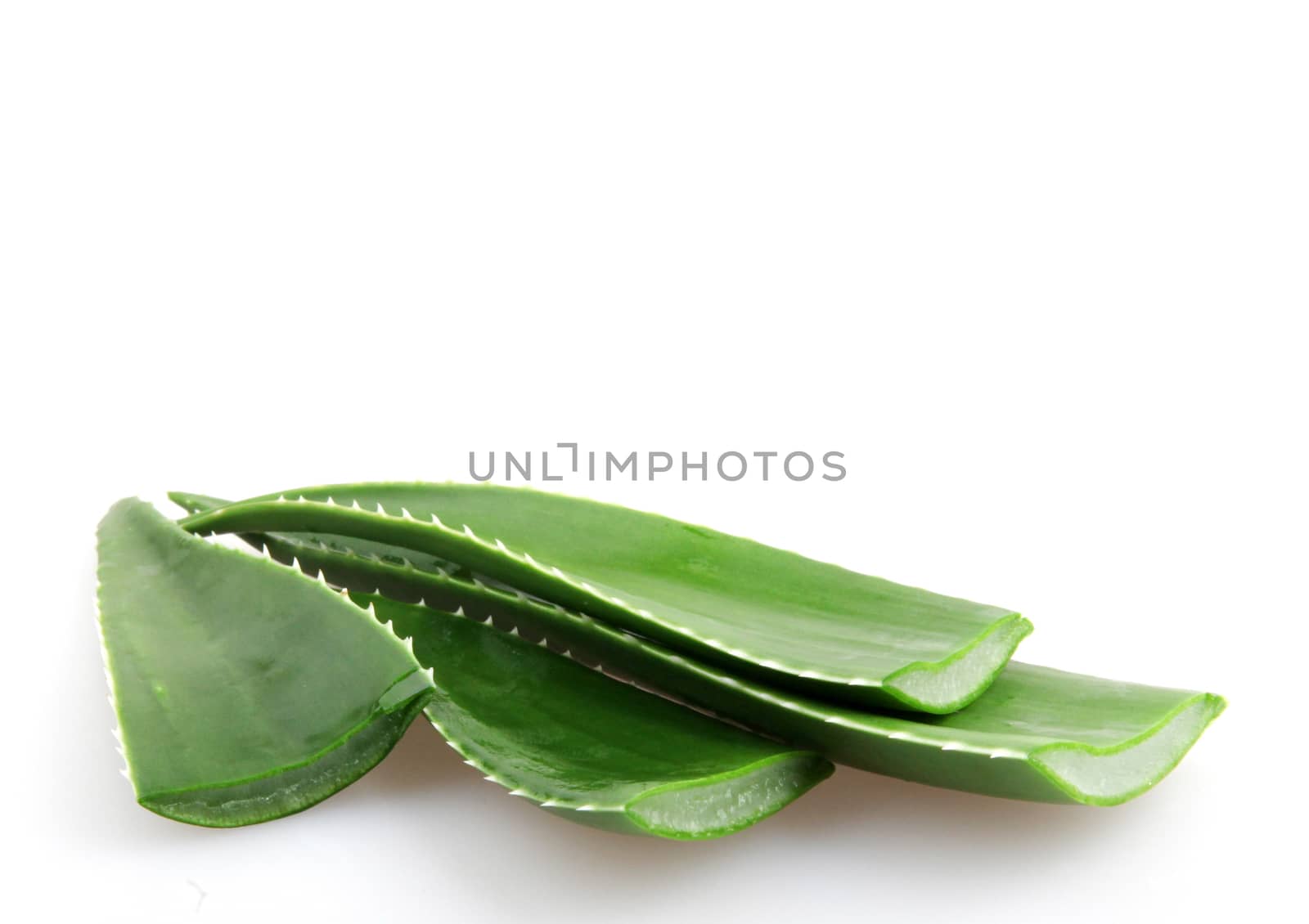 Aloe vera